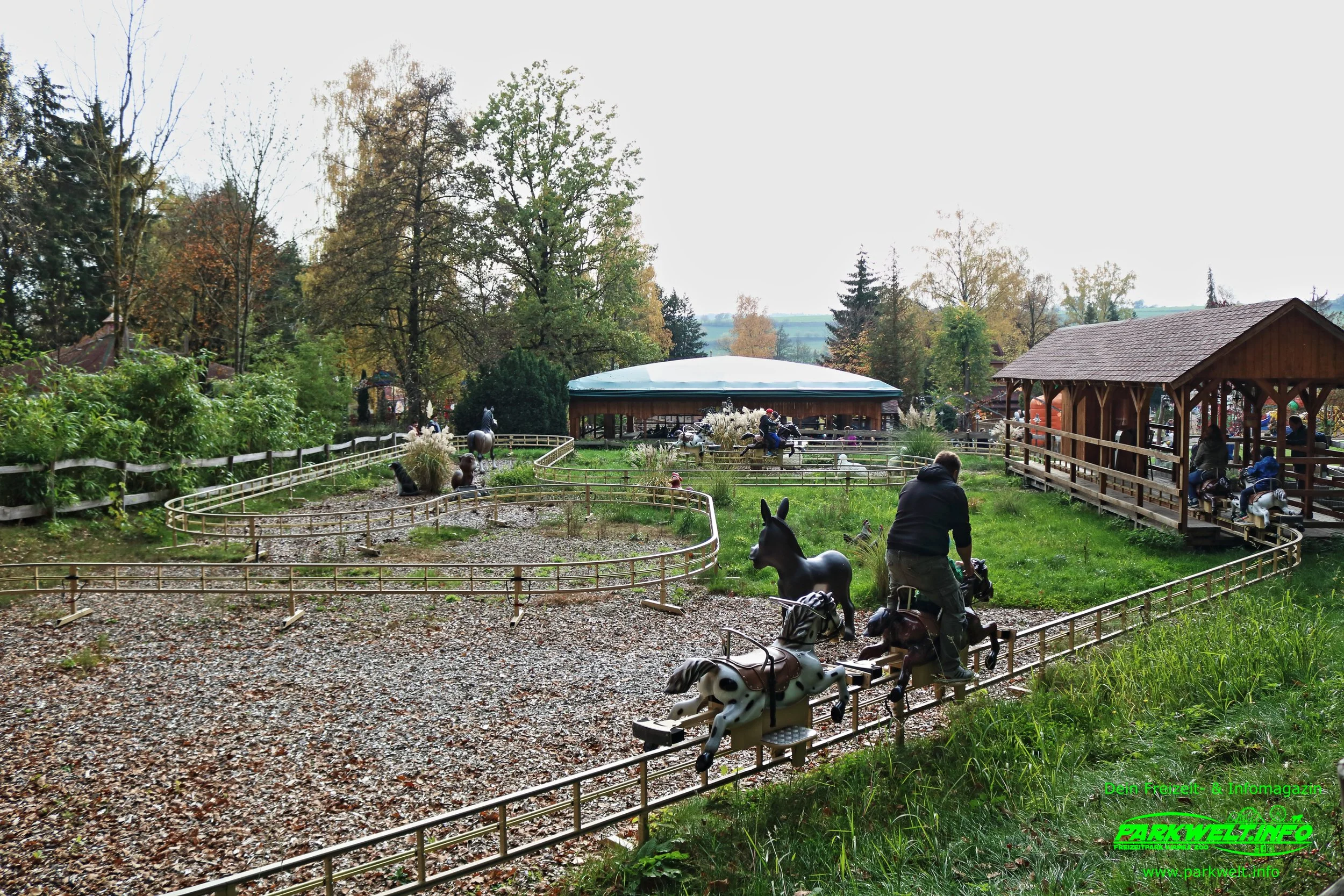7b.JPG