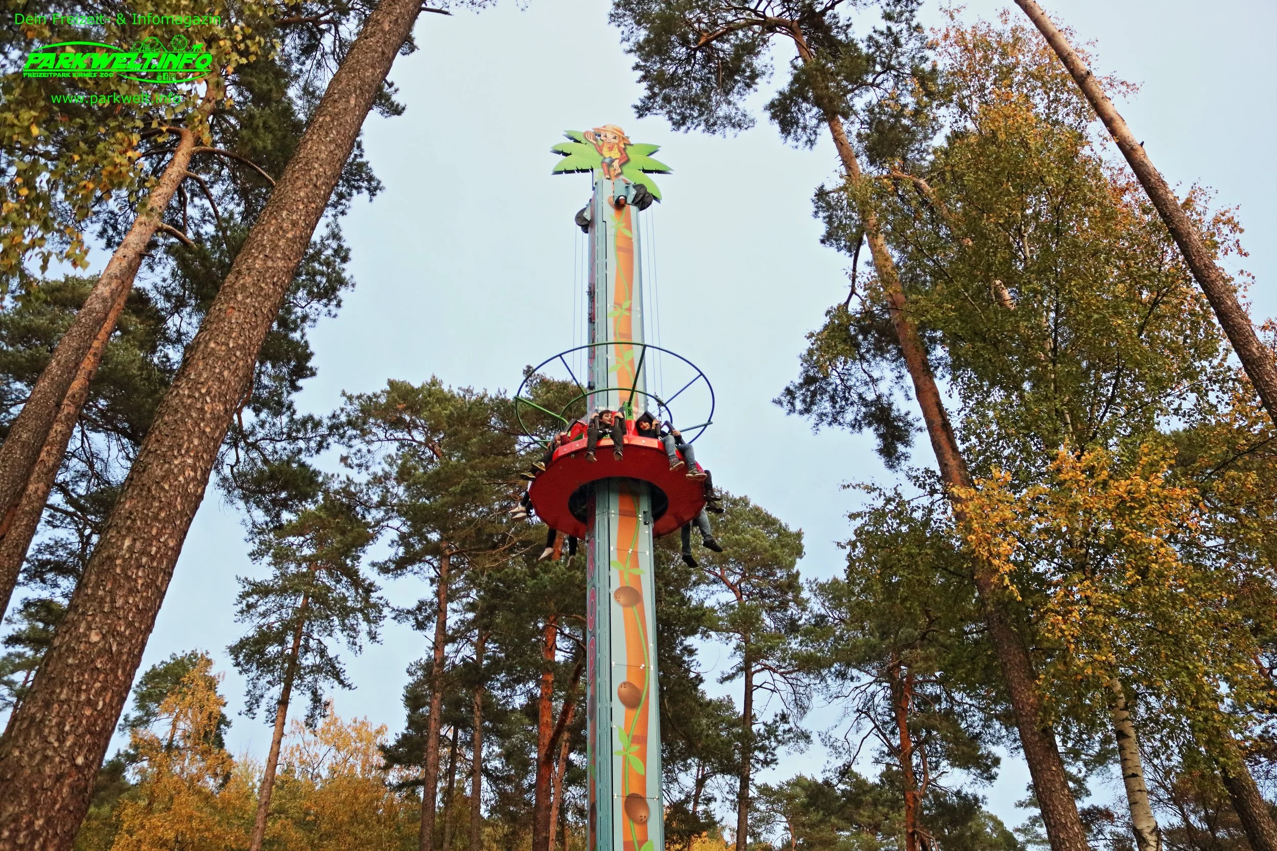 41a.JPG