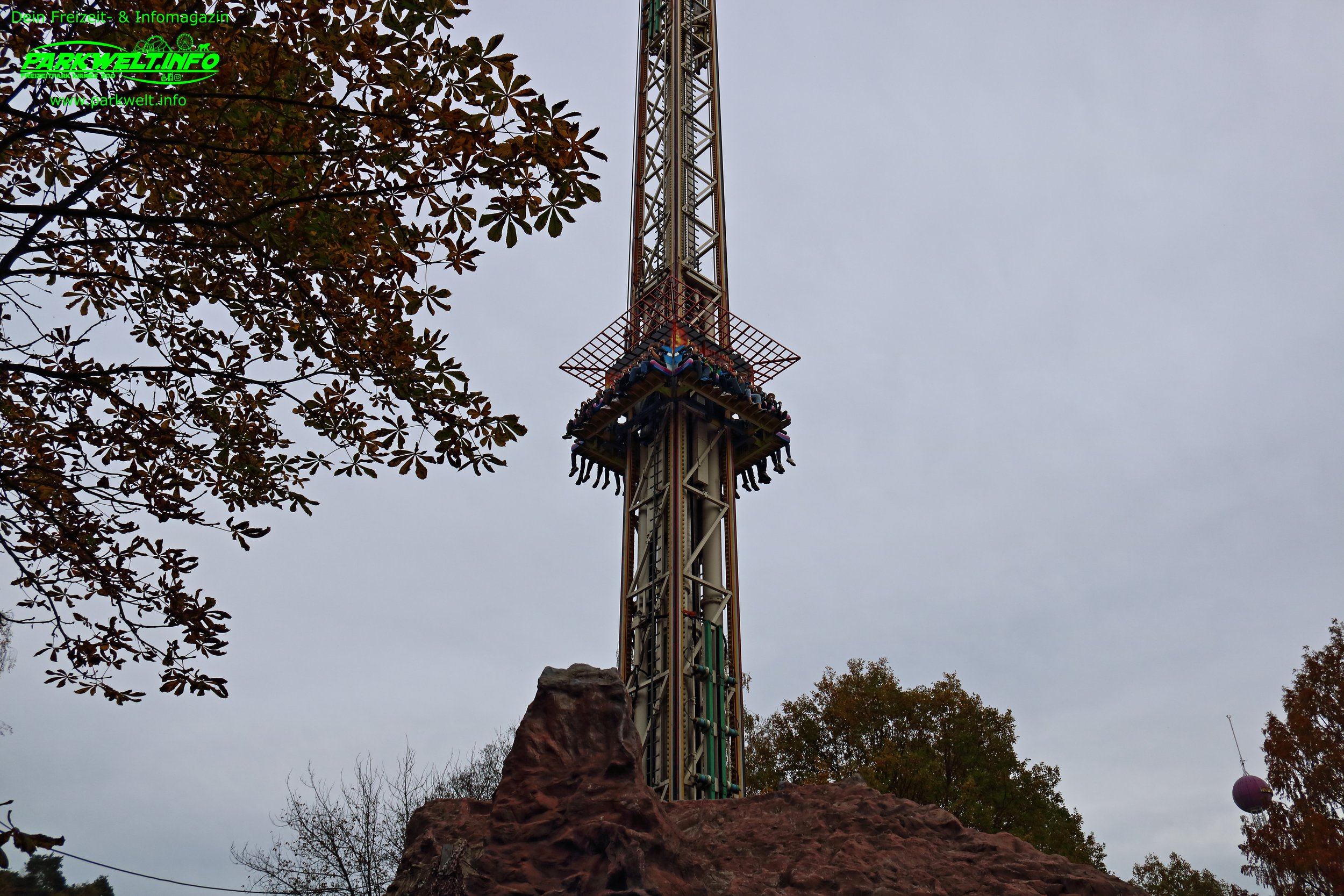 12d.JPG