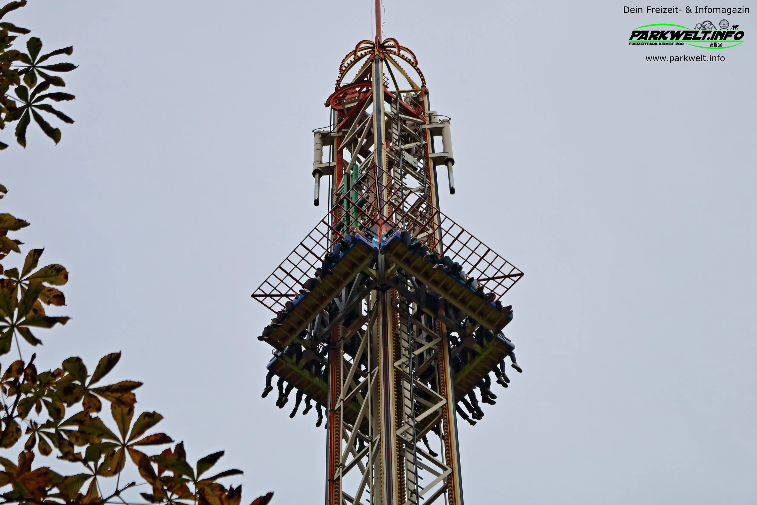 12f.JPG