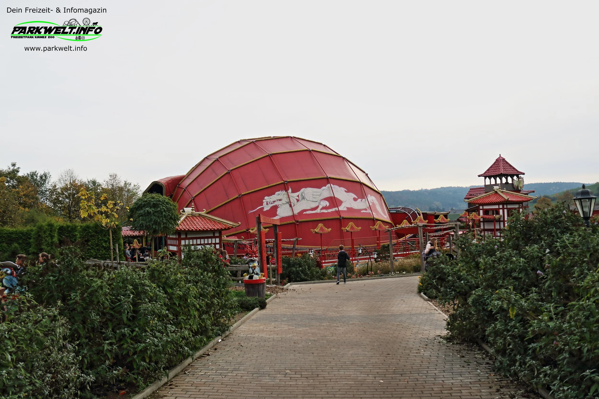 25.JPG