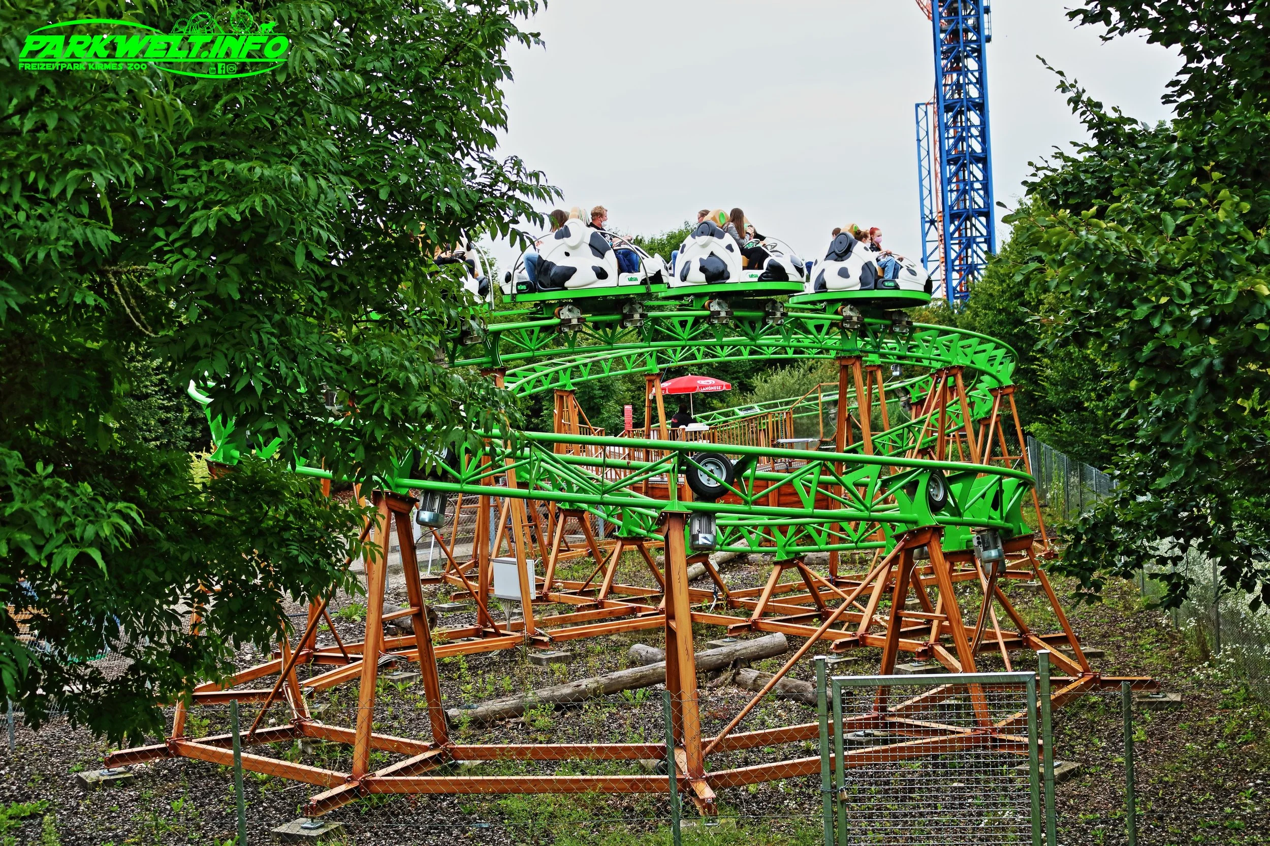 20b.JPG