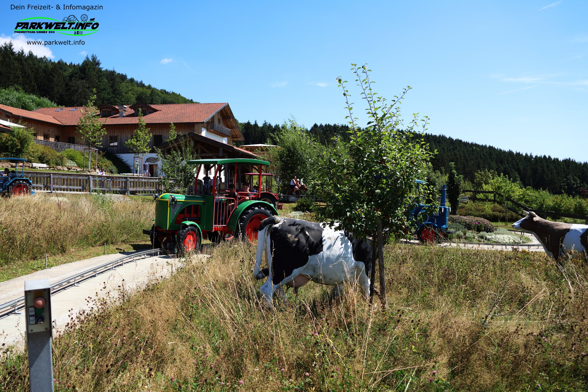 19b.JPG