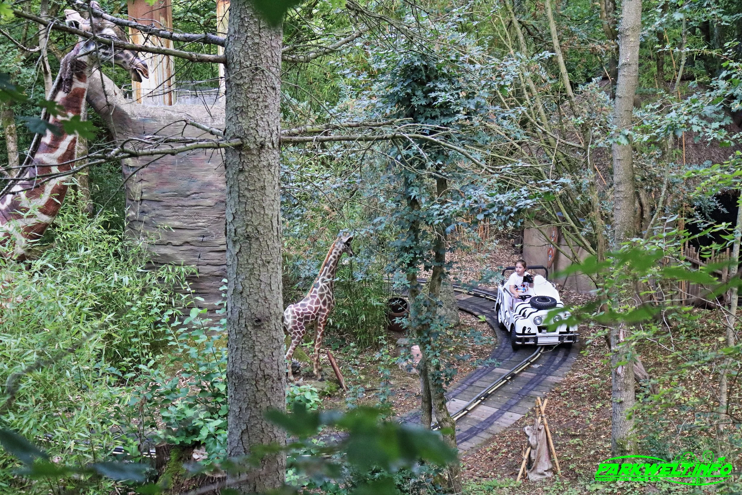 13b.JPG