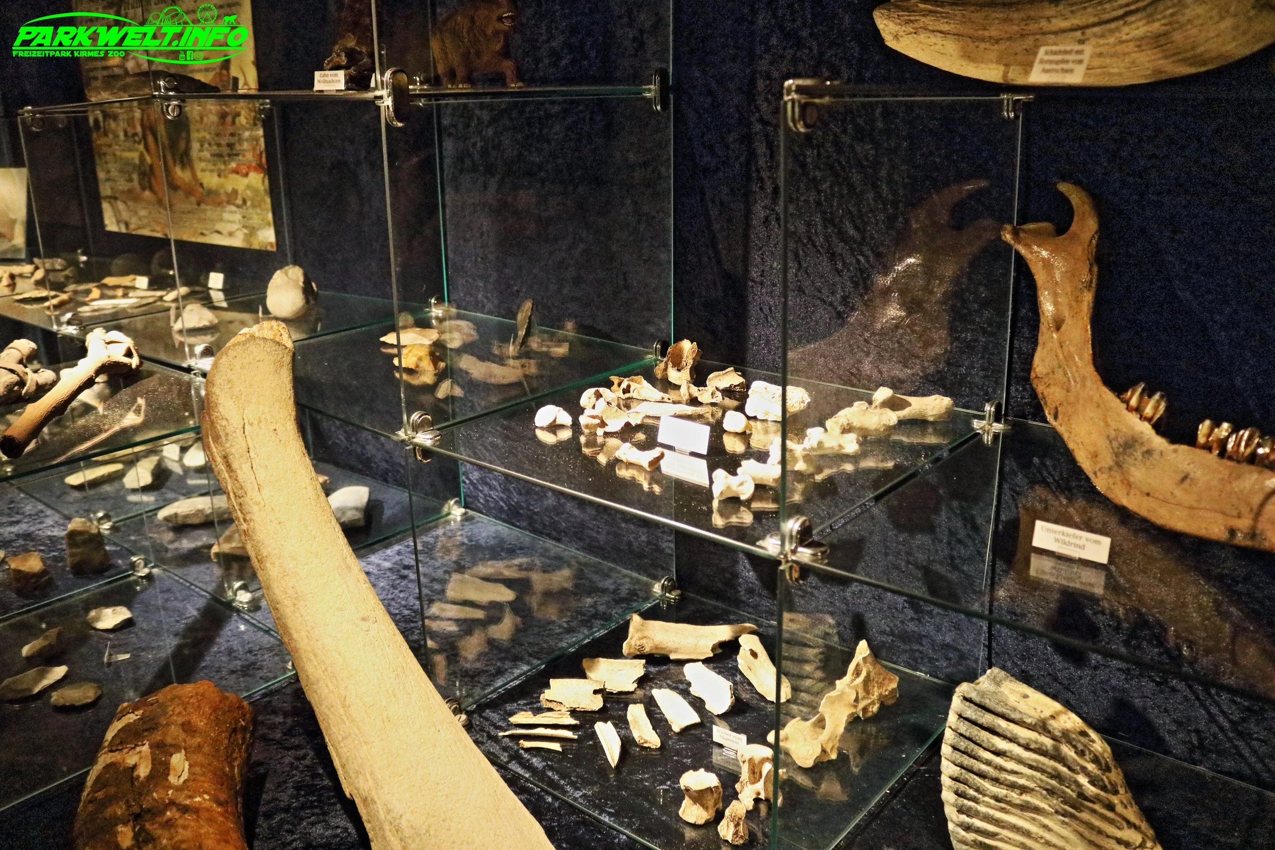 25b.JPG