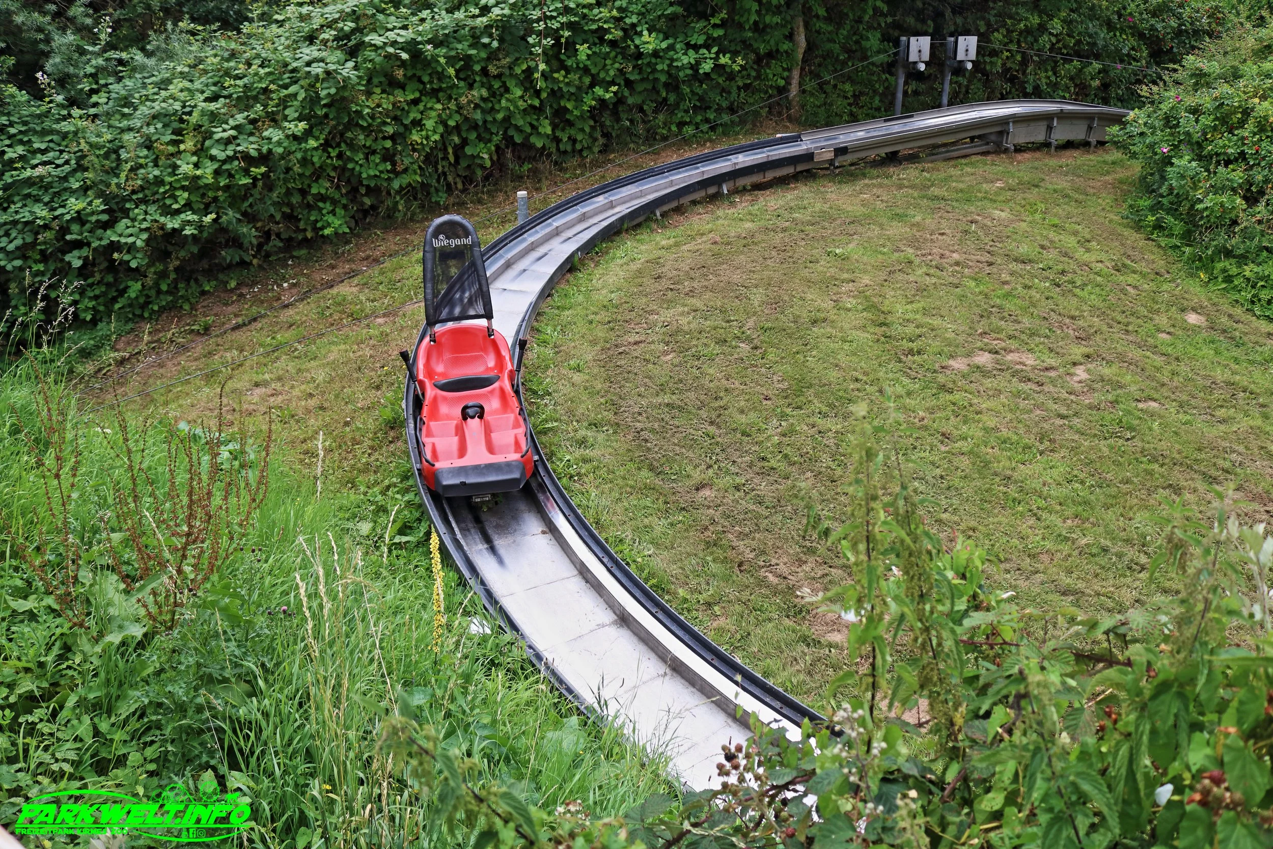 26d.JPG