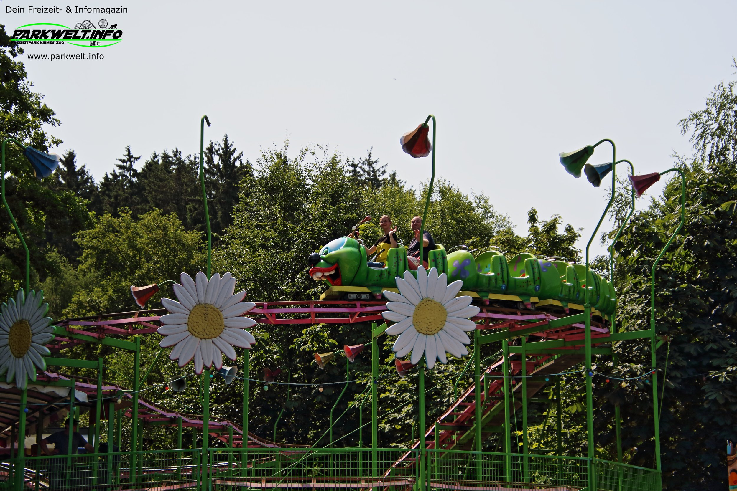 8a.JPG