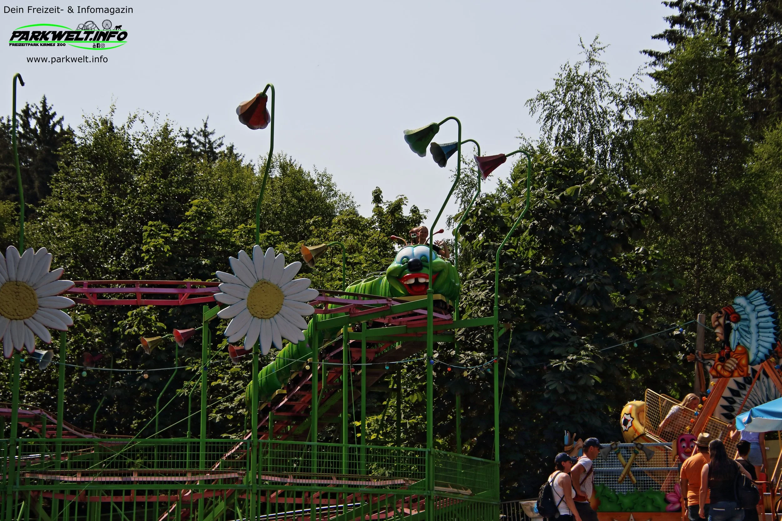 8.JPG