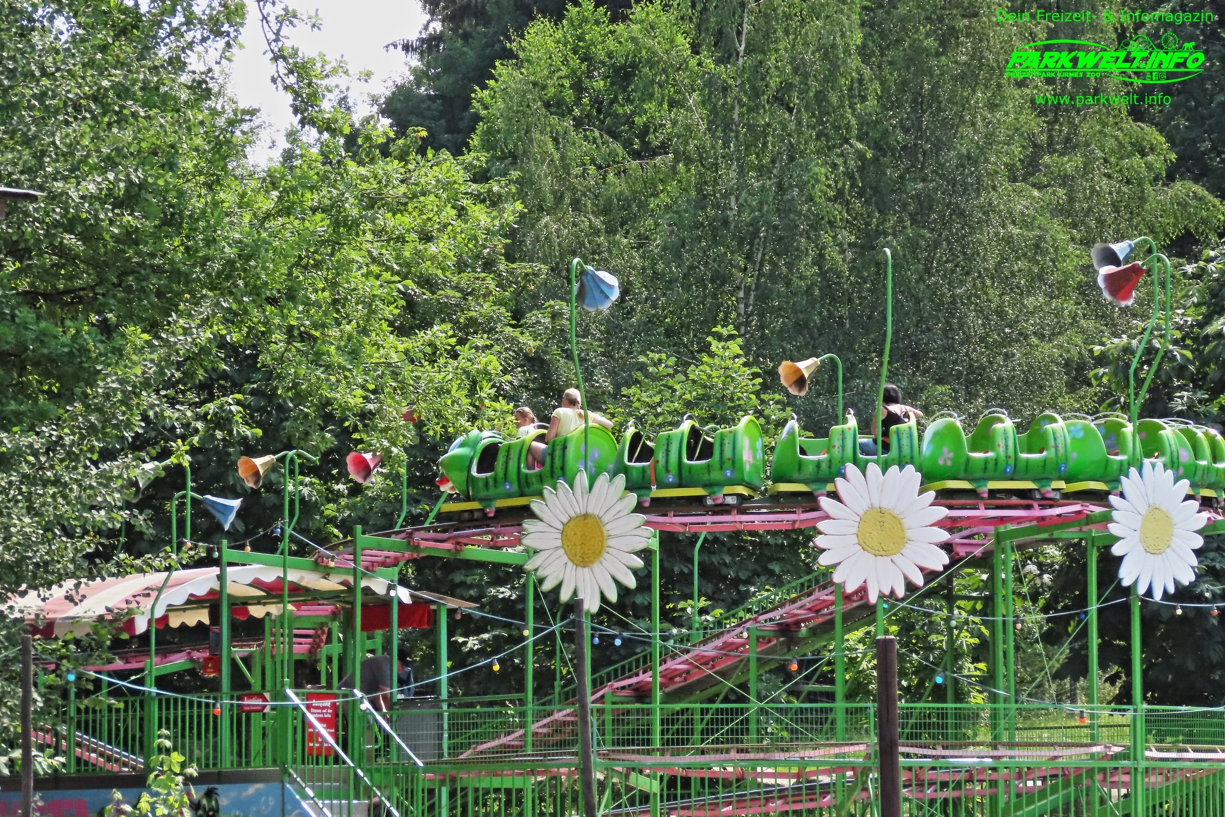 8f.JPG