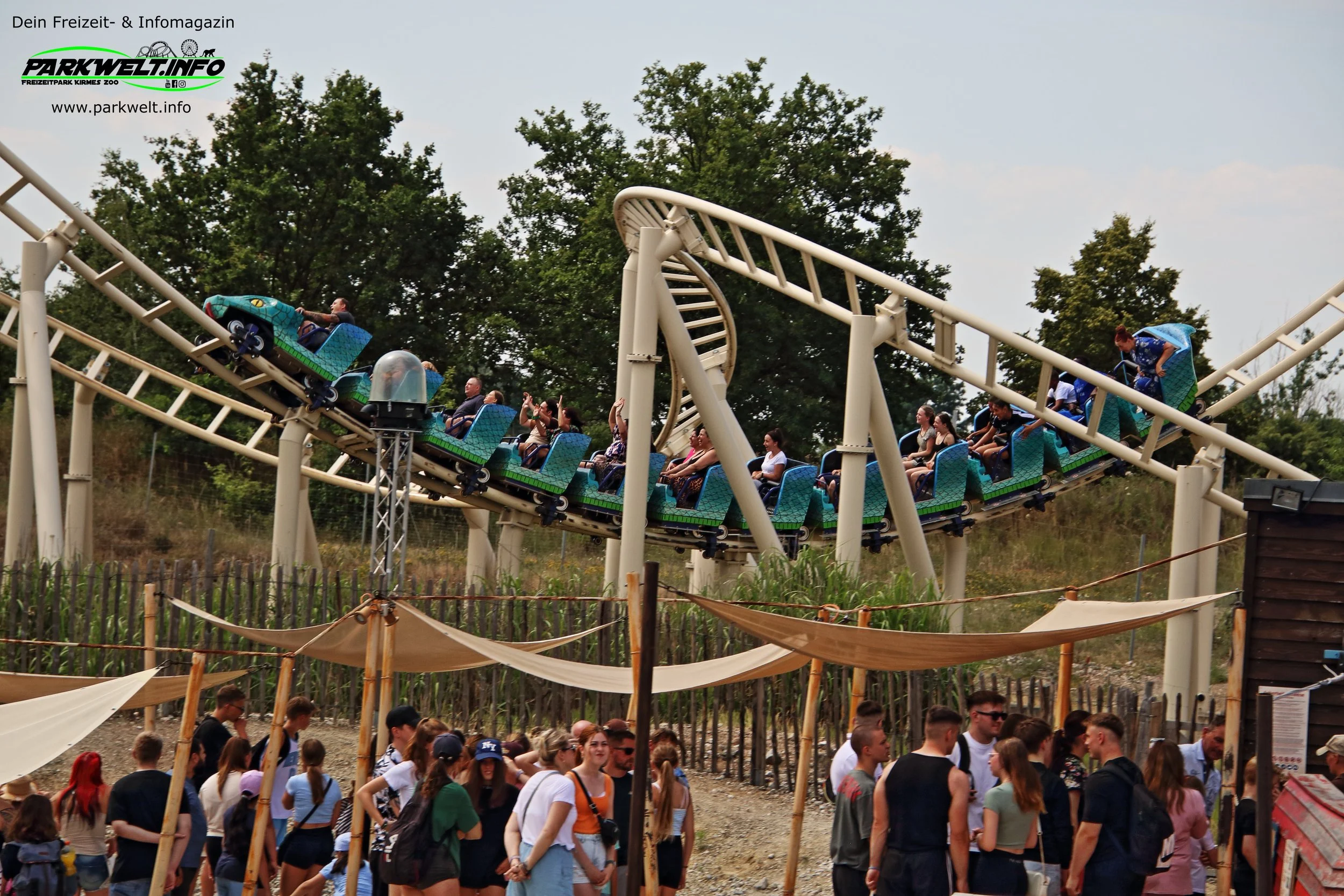16d.JPG