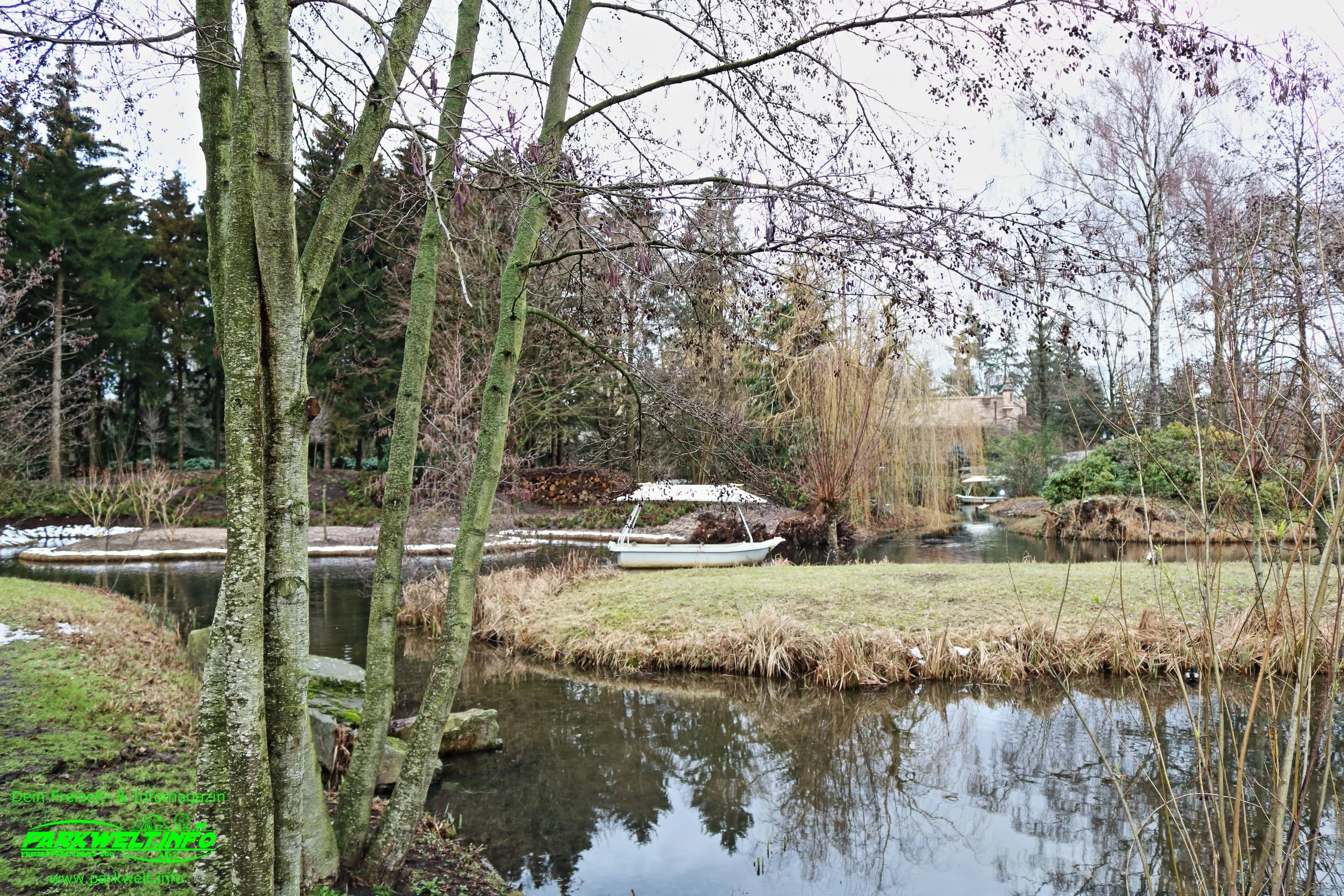 6a.JPG