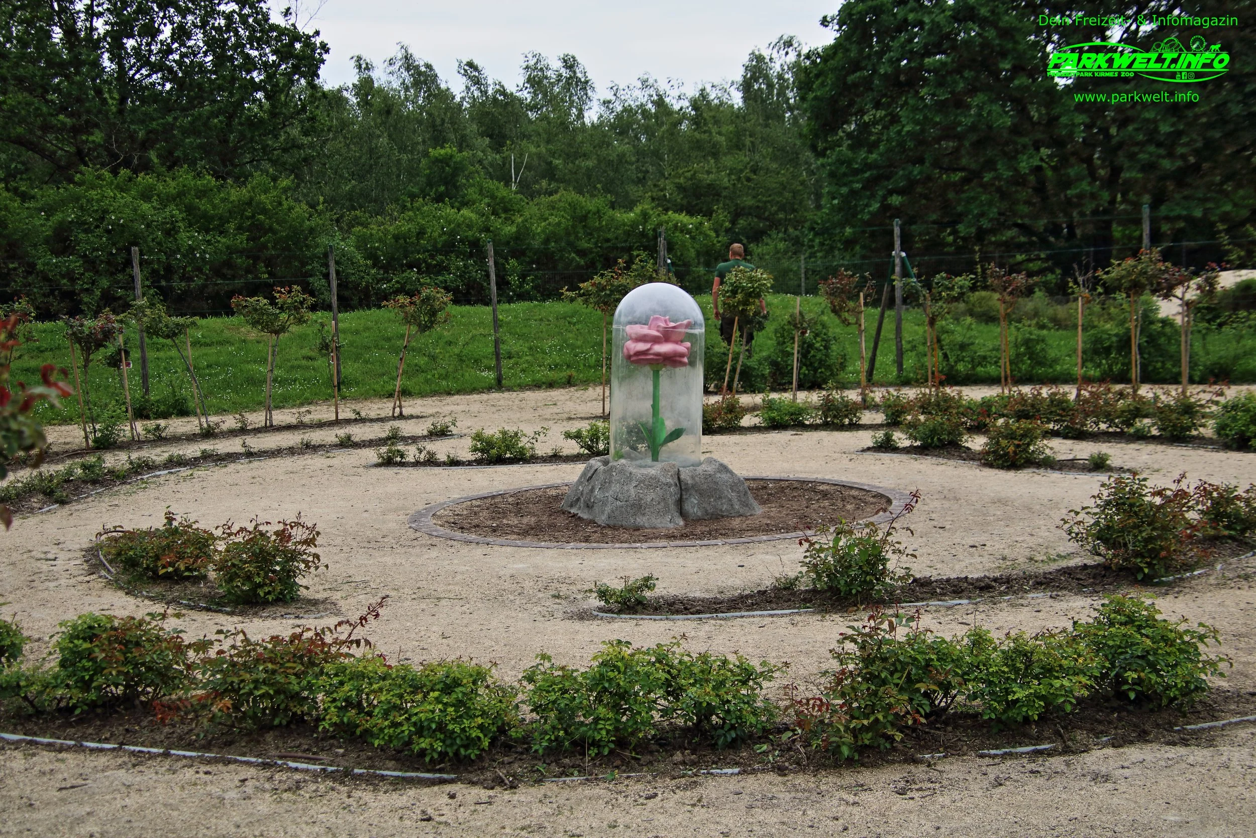 9b.JPG