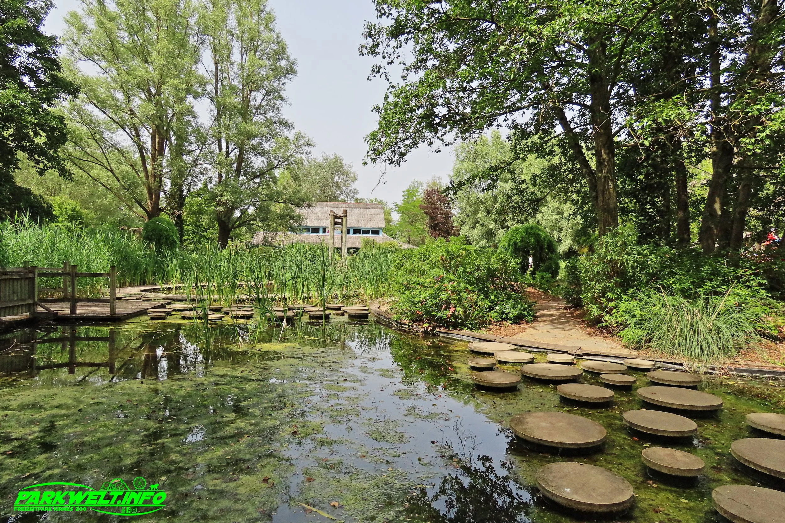27e.JPG