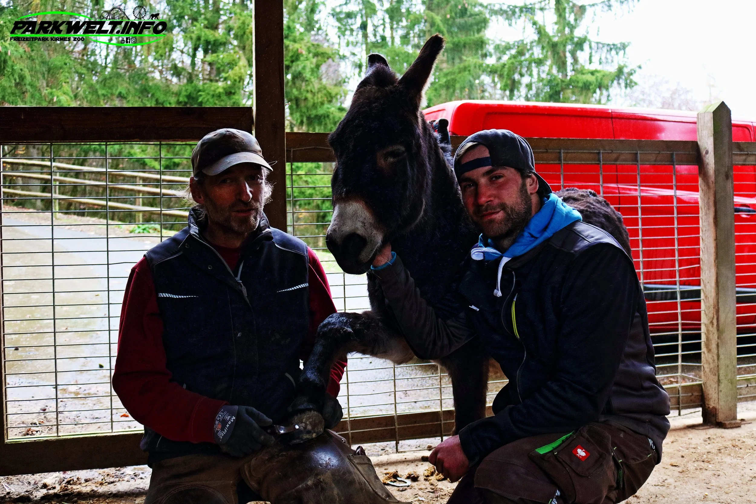 Hufpflege im&nbsp;Wild &amp; Erlebnispark Daun