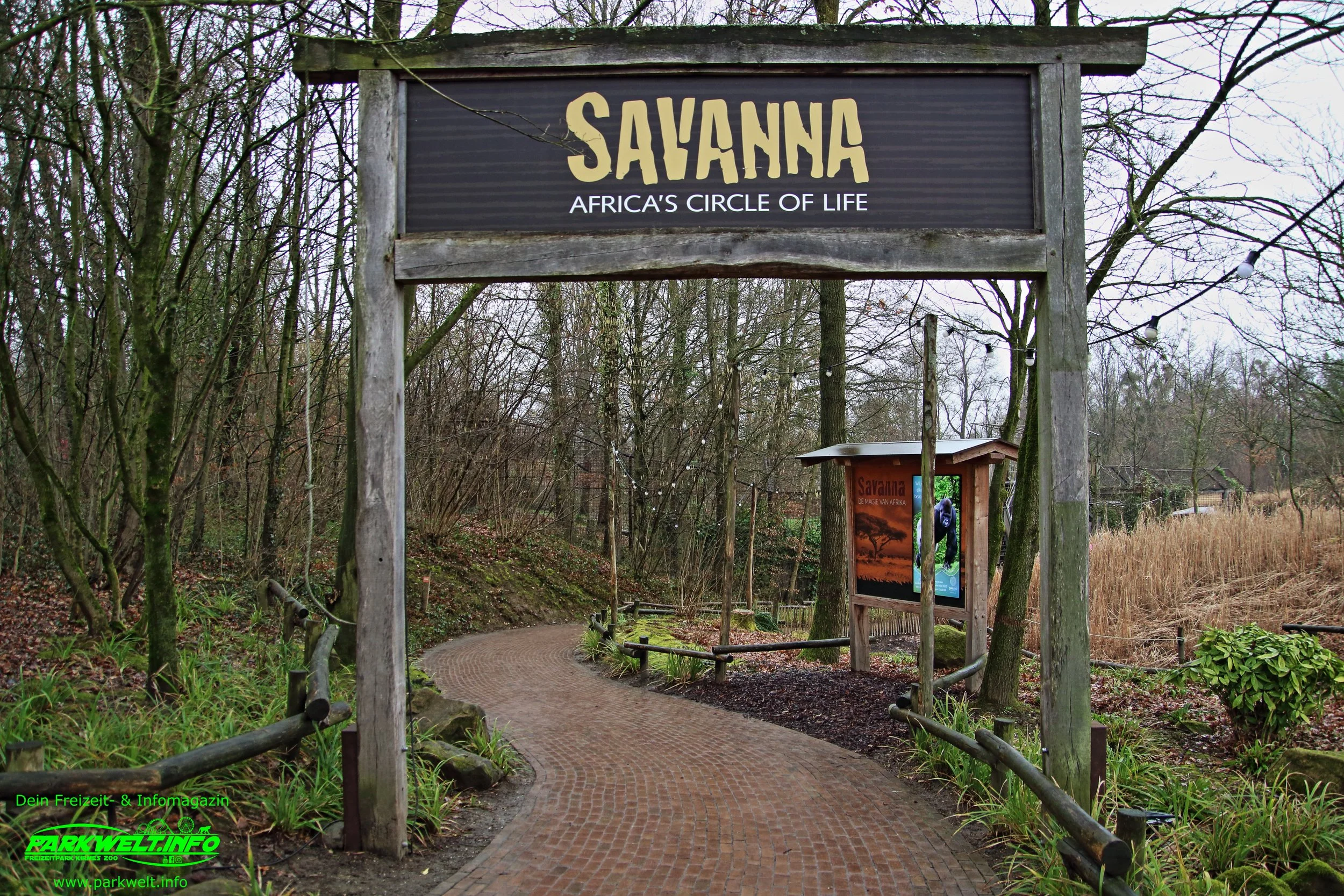 Savanna