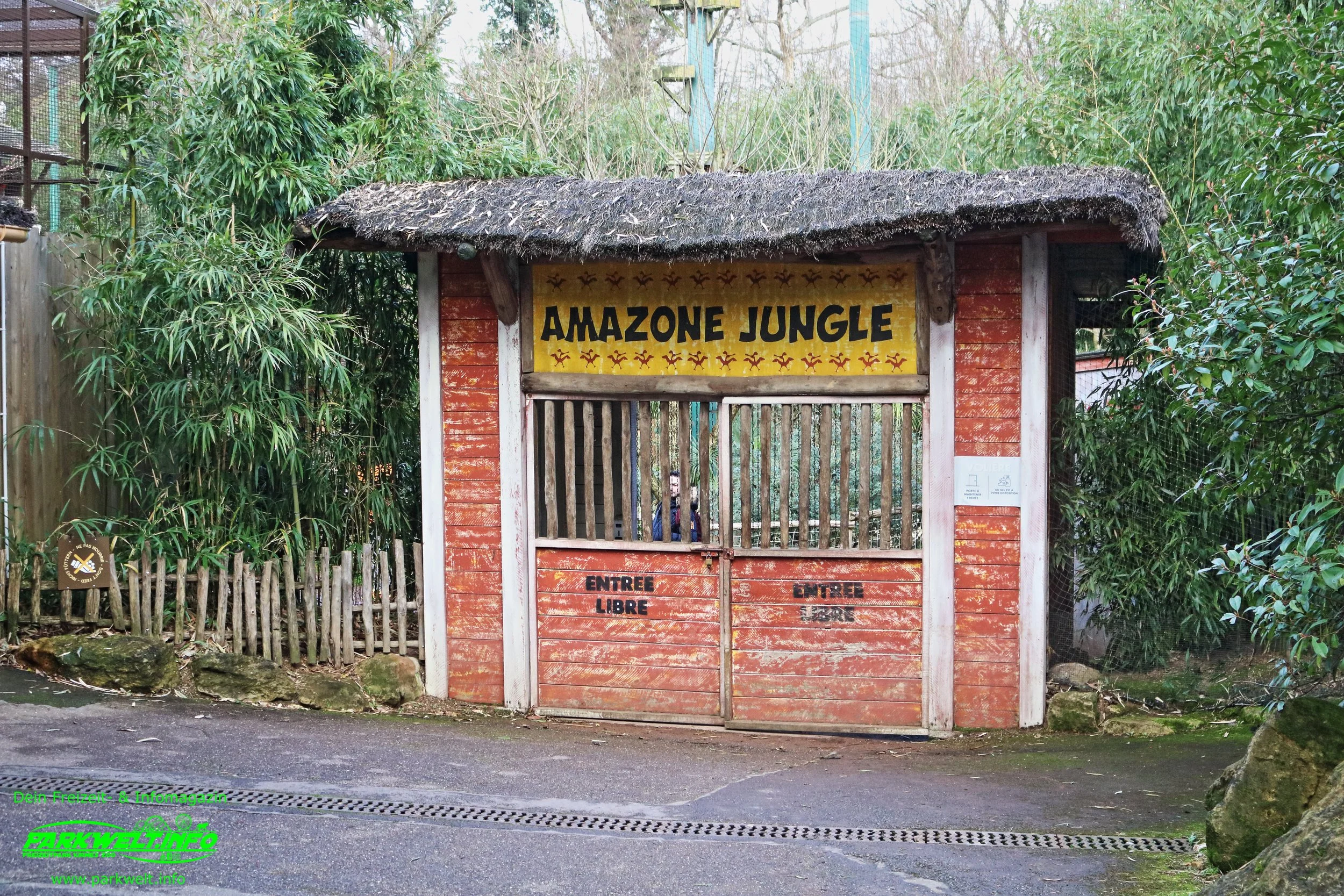 6.JPG