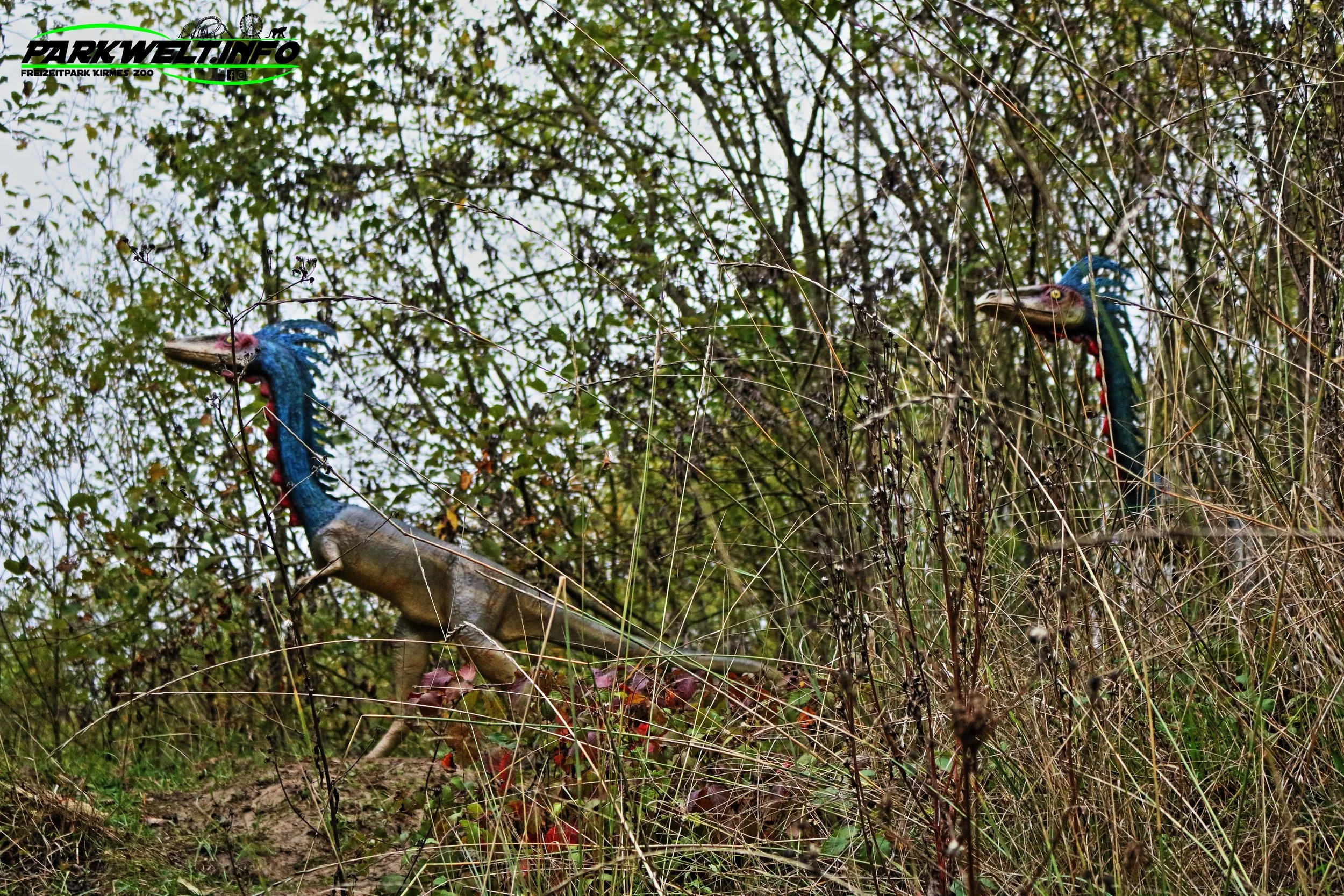 4.JPG
