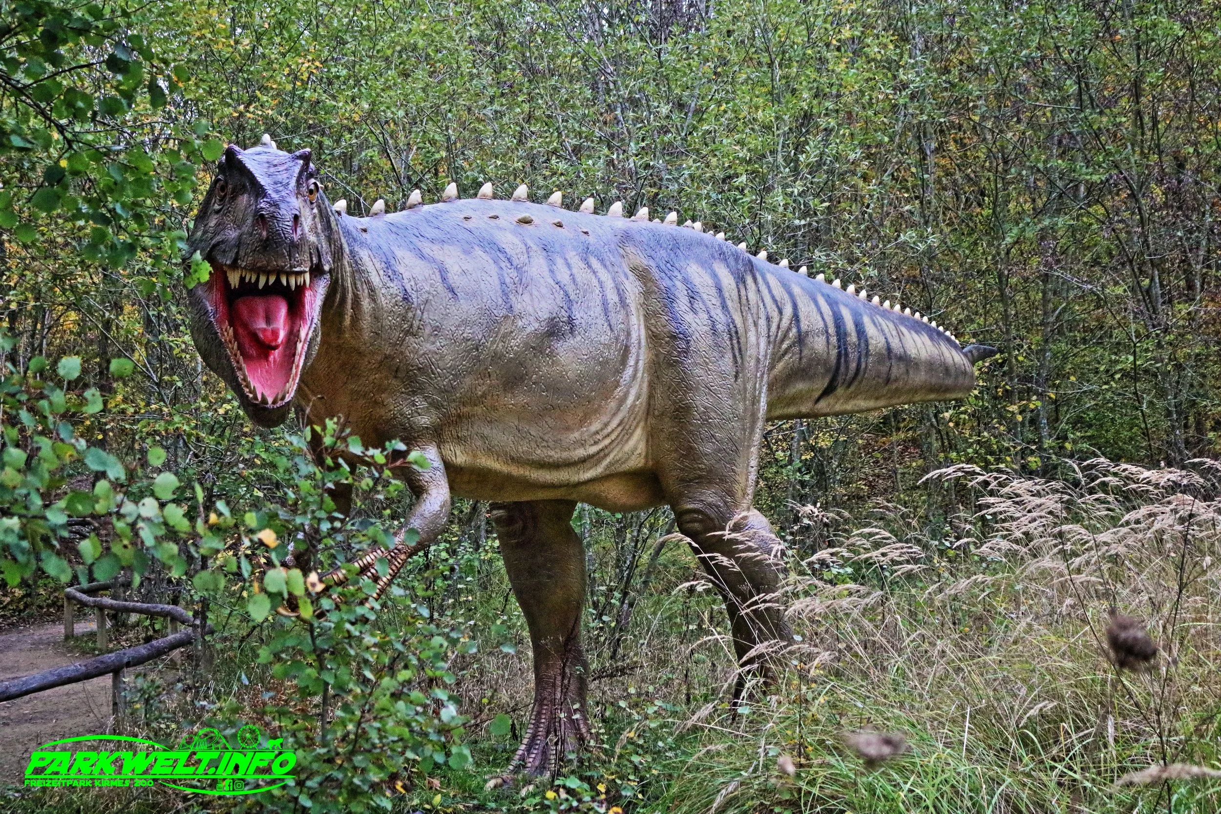 7.JPG