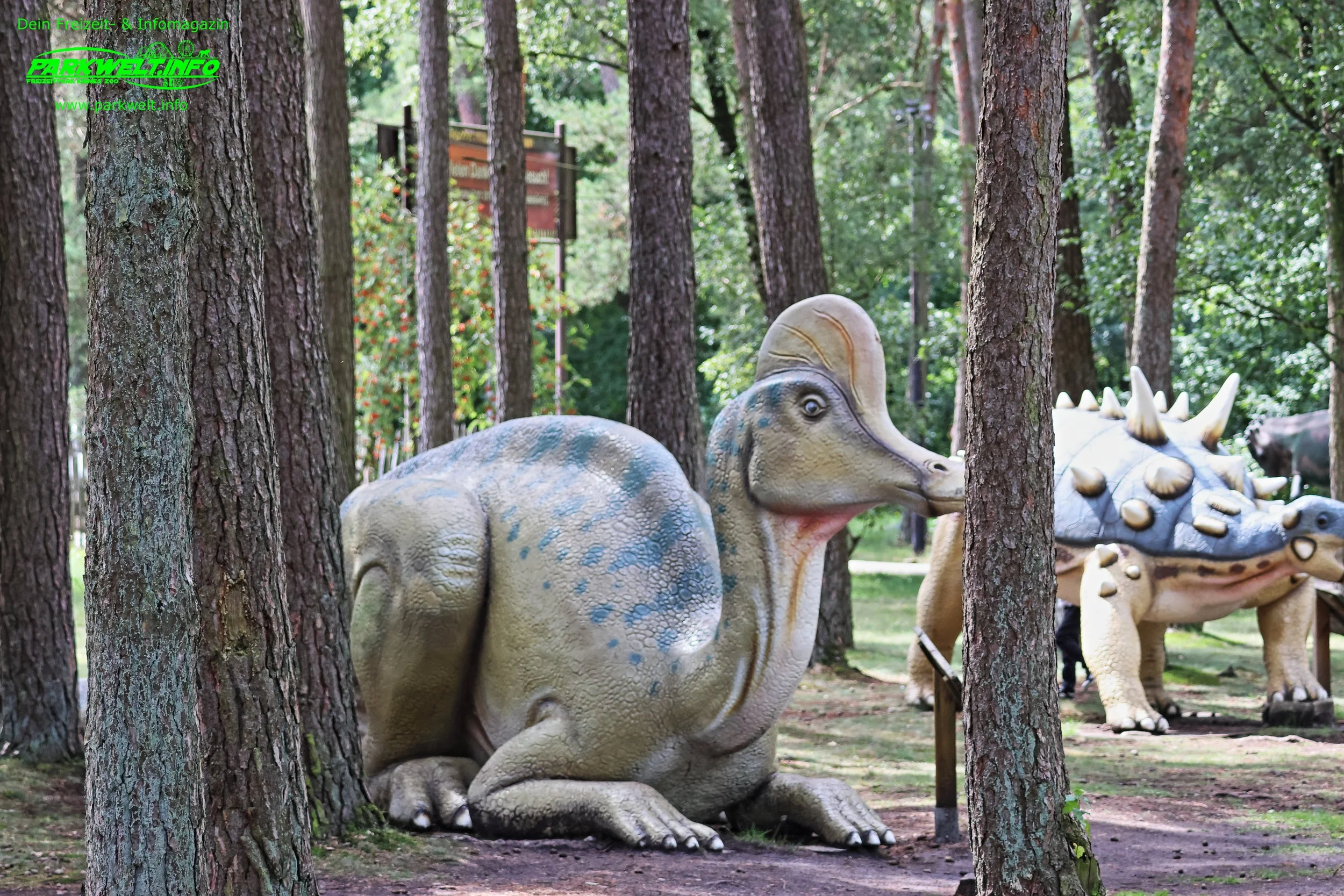 Dino- Wald