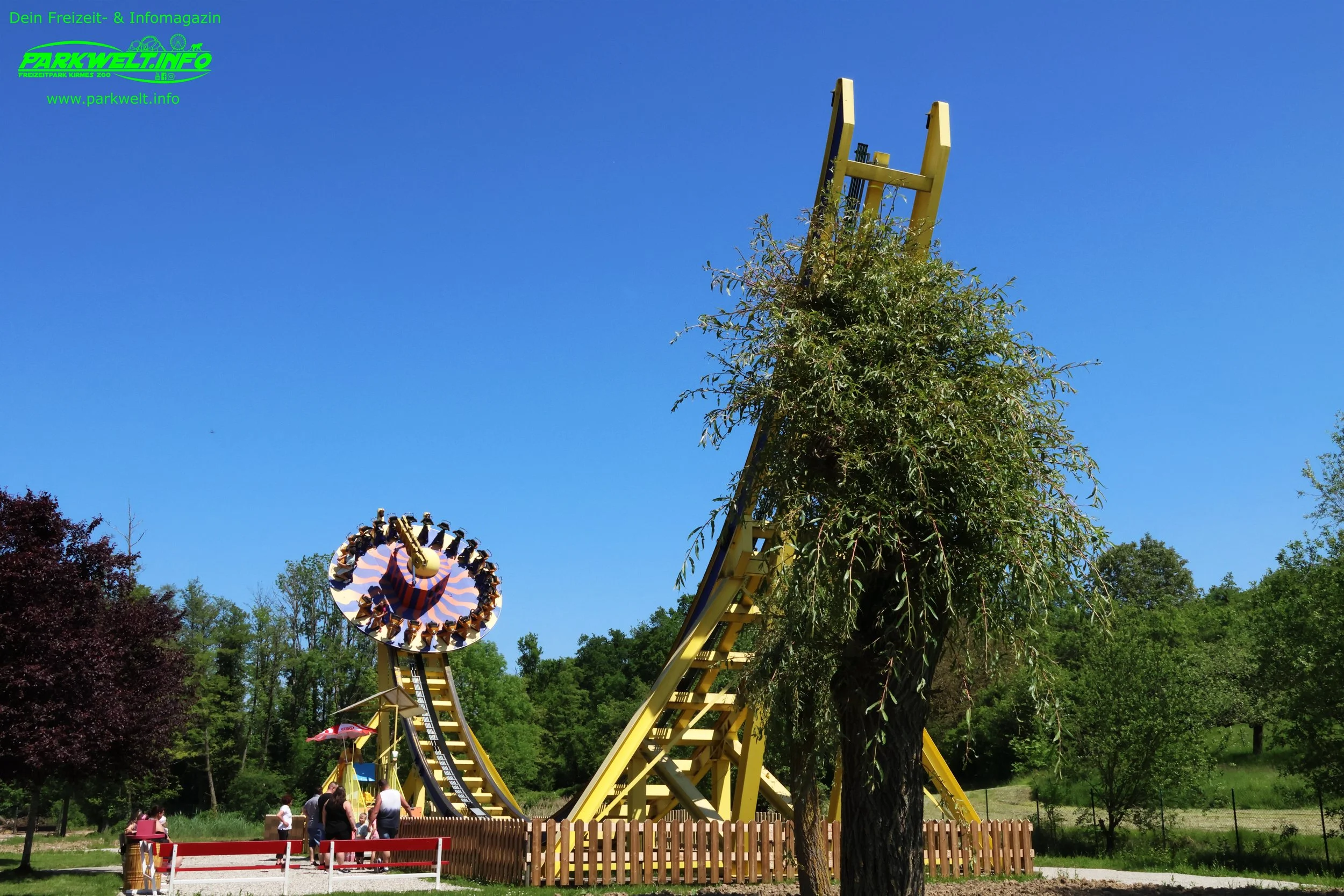 29d.JPG