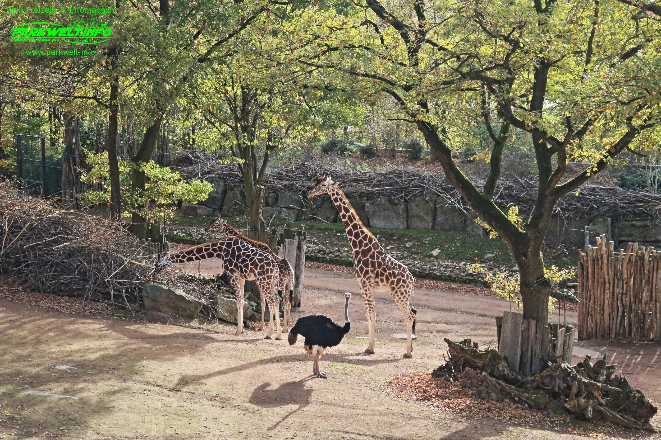 Zoo Osnabrück Niedersachsen Wildpark Infos Tiere Parkplan Park Plan Adresse Anfahrt Parkplatz Preise Aquarium