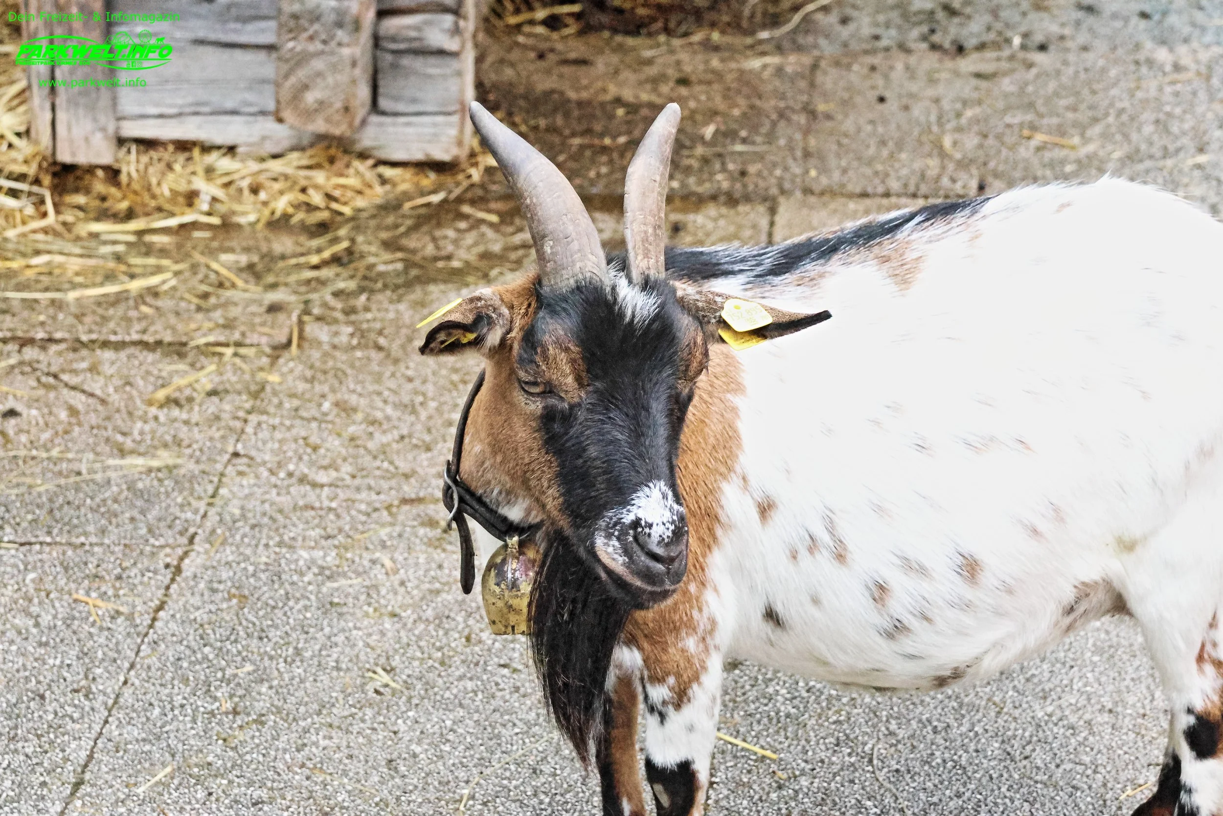 Freizeitpark Familienland Pillersee – Familienabenteuer in den Tiroler Alpen