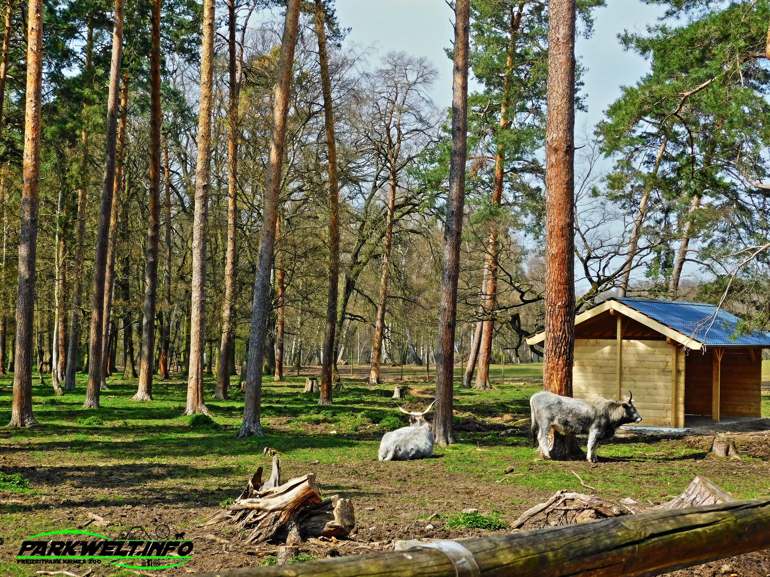 Hochwildpark Kommern Mechernich Wildpark Tierpark Zoo Wildtiere Preise Eintritt Anfahrt Park Plan Map Guide Fotos Bilder Rheinland Eifel