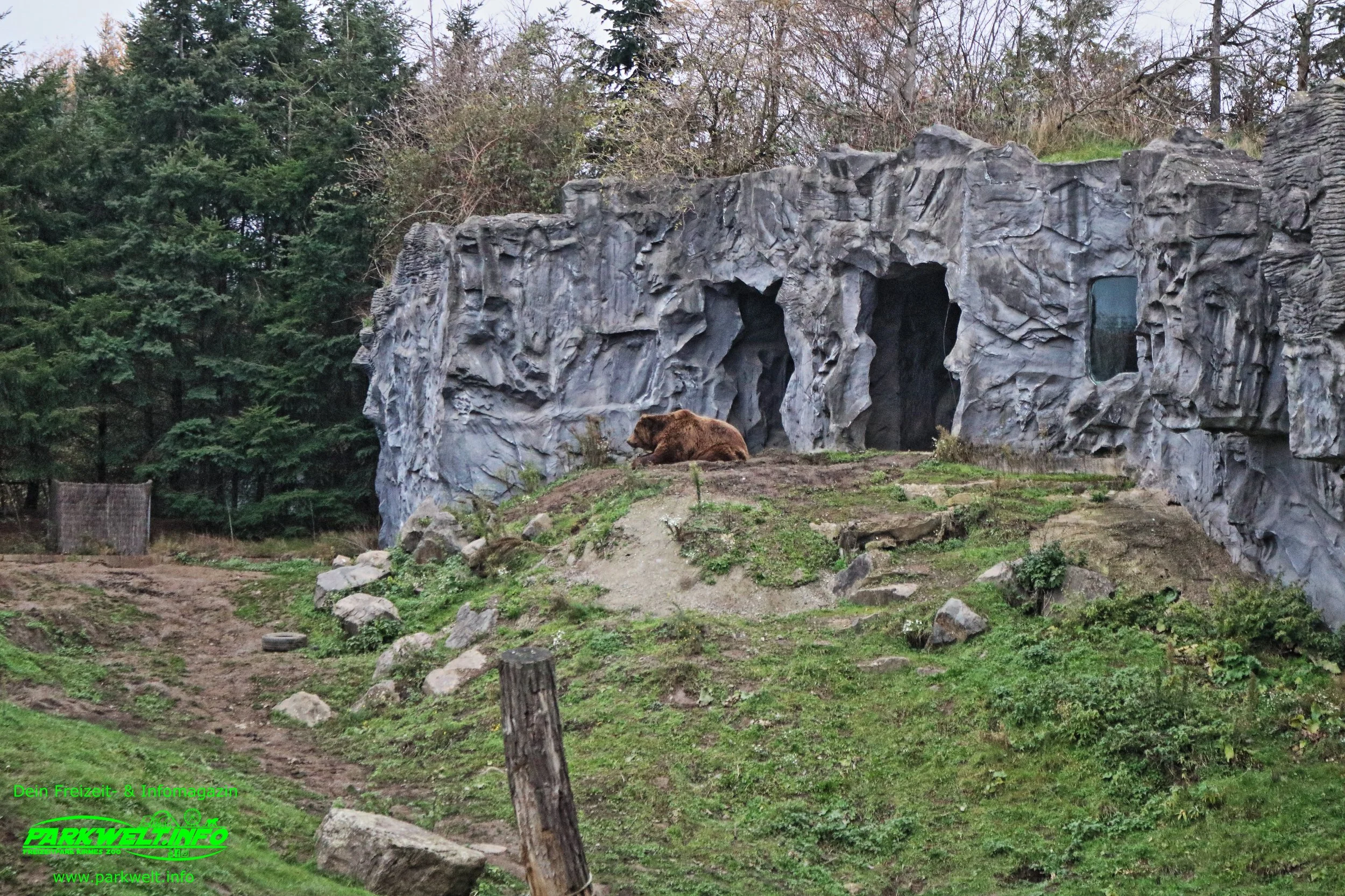 Zoom Erlebniswelt Gelsenkirchen Zoo Tierpark Nordrhein Westfalen Info Alaska Asien Afrika Adresse Familie  Bilder Park Plan Map Guide 