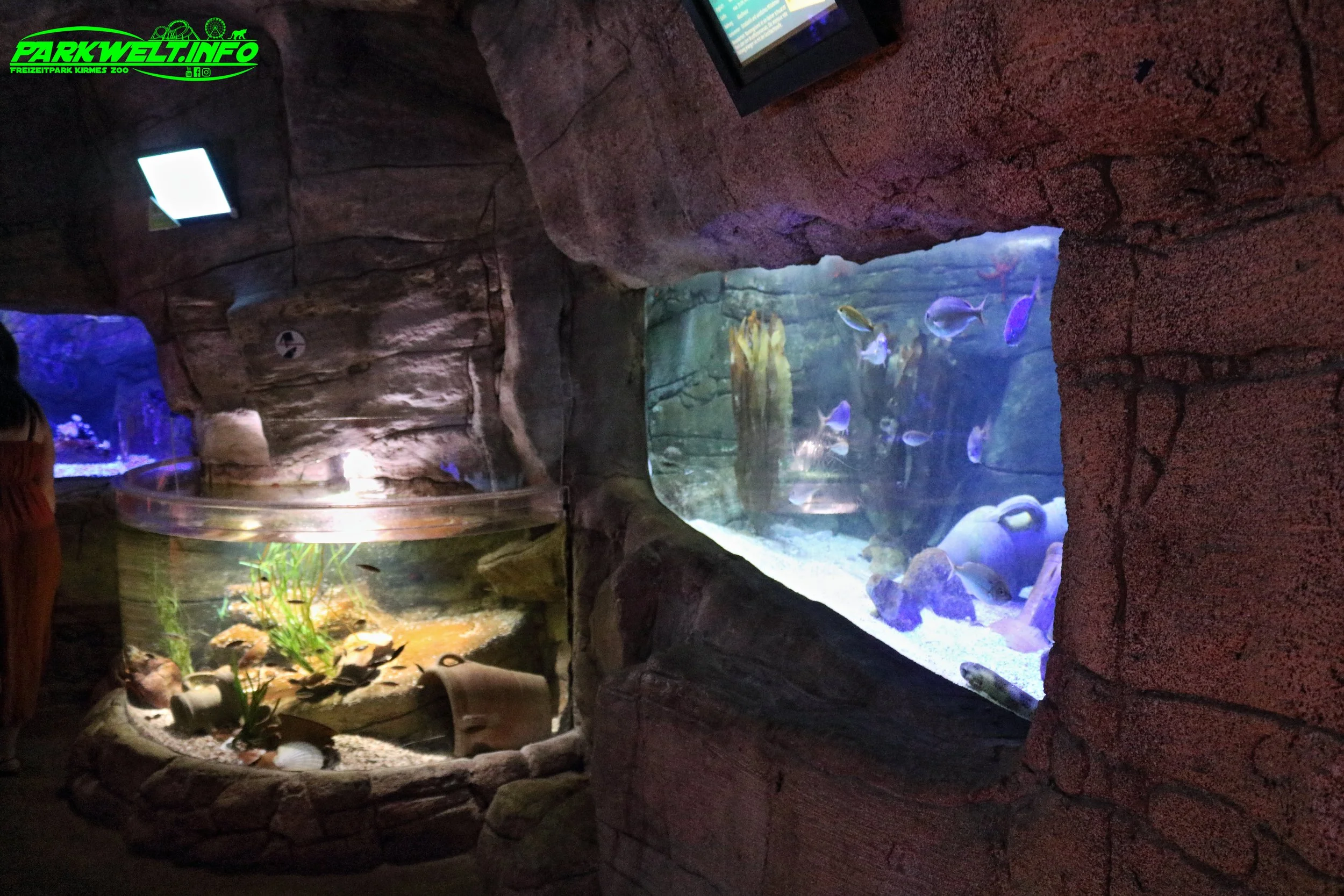 Sea Life Timmendorfer Strand Aquarium Infos Bilder Anfahrt Parkplatz Adresse Attraktionen Preise