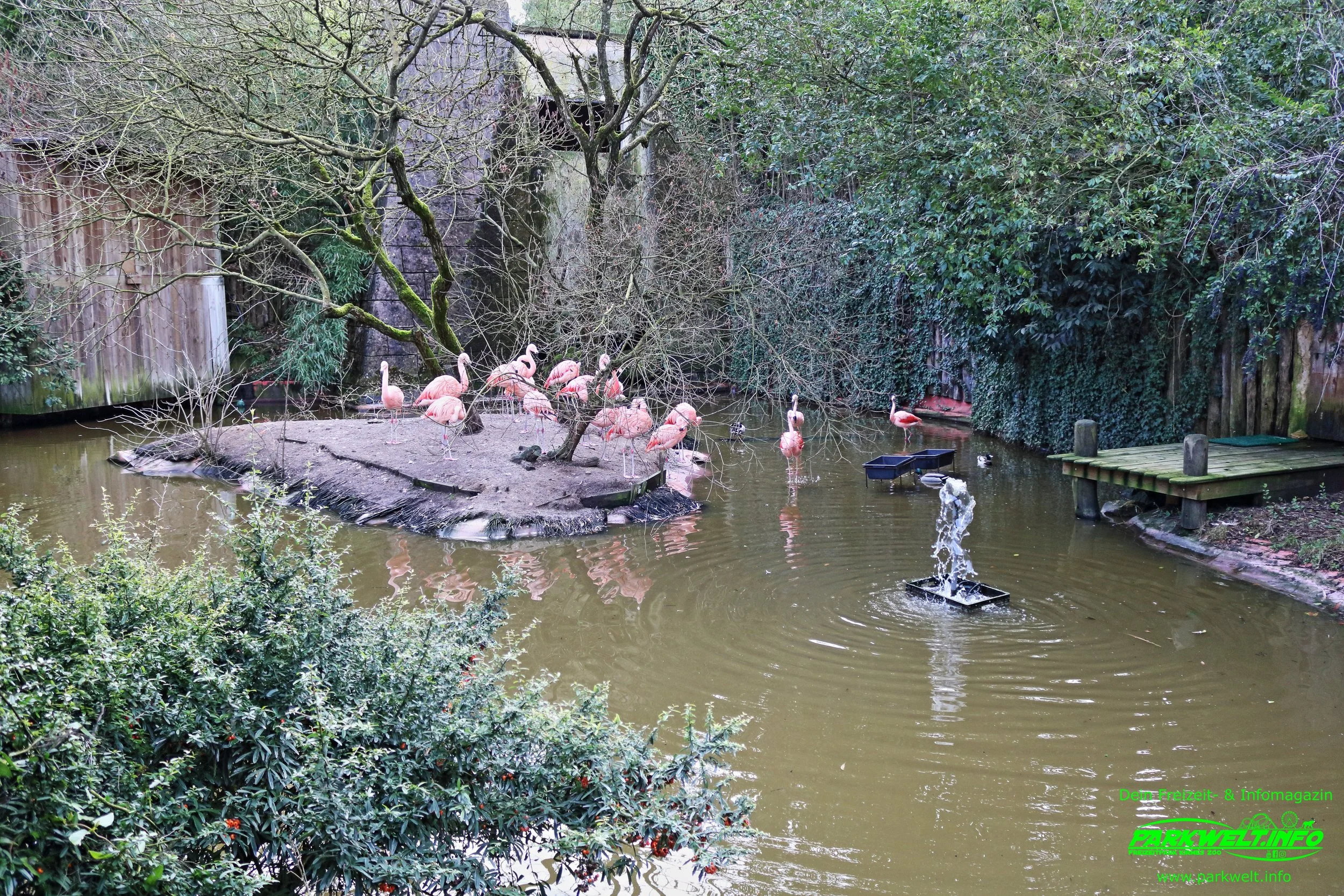 Amazone Jungle Zoo Amneville Tierpark Frankreich Tiere Ausflug Park Plan Plan du Parc Öffnungszeiten Adresse Parkplatz Familie
