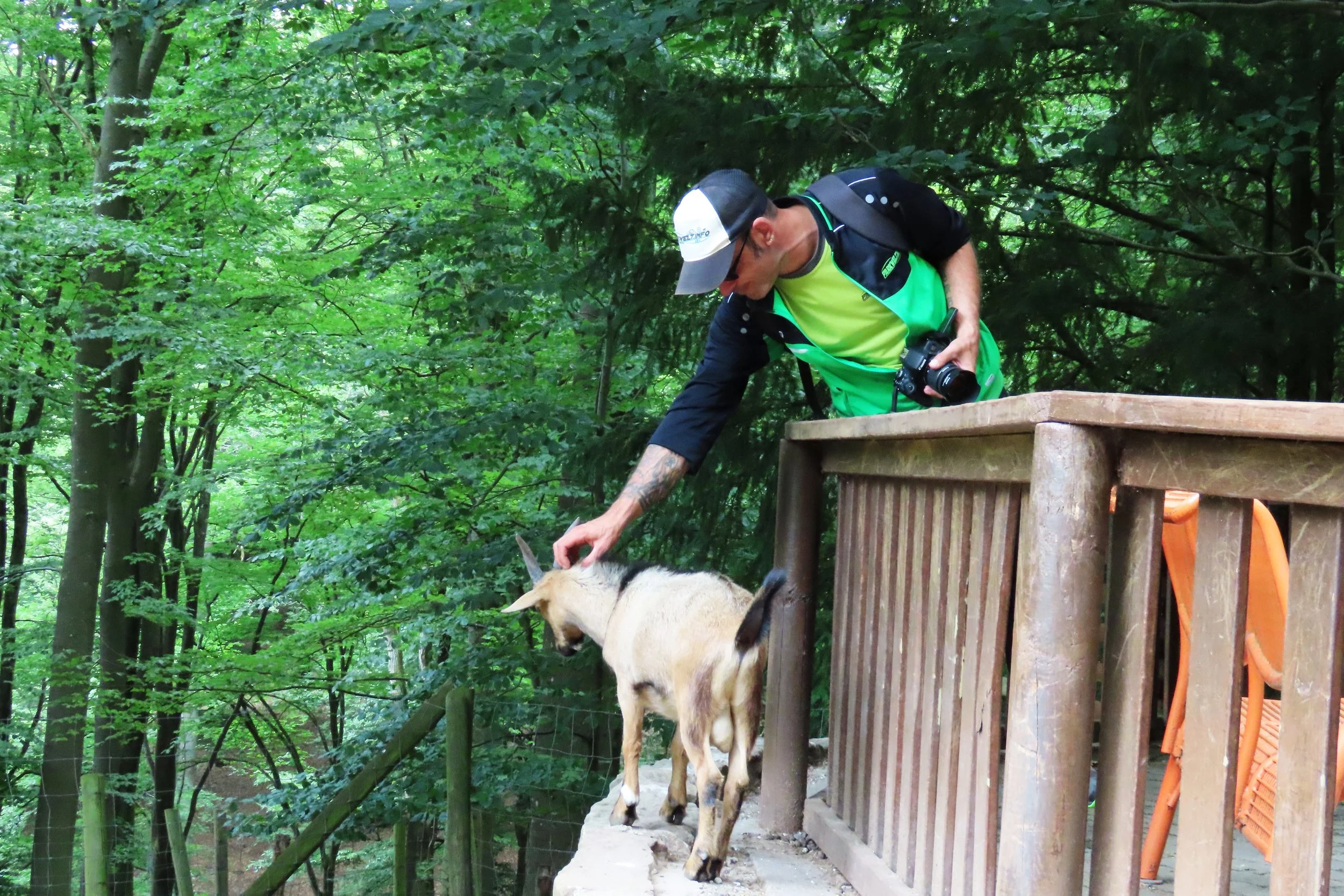 Kurpfalz Park Wachenheim Weinstraße Freizeitpark Wildpark Themepark Park Plan Guide Adresse Preise Attraktionen Fahrgeschäfte Achterbahn