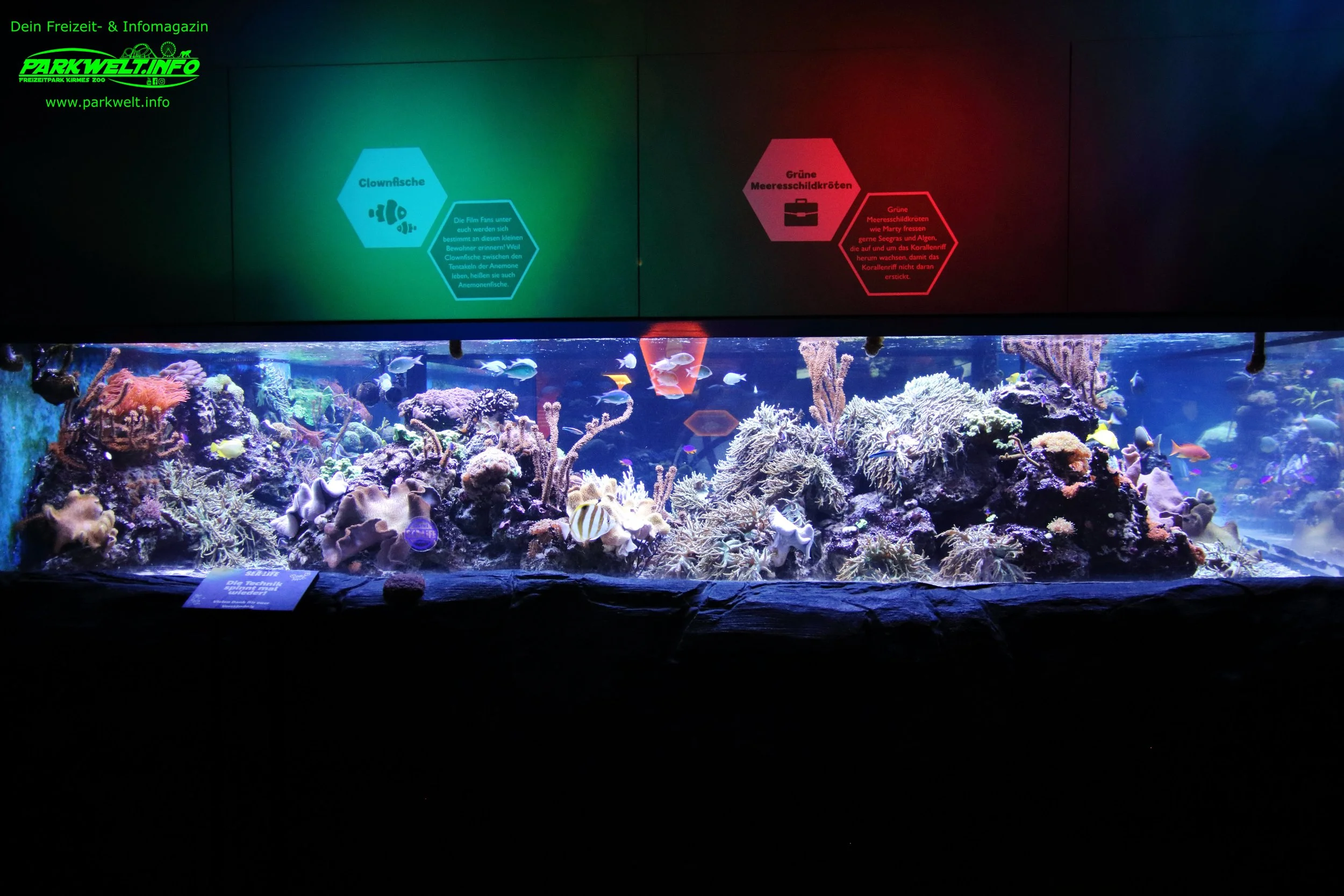 sea life speyer rheinland pfalz ausflugsziel aquarium info news bilder adresse merlin rabatt parkplatz adresse preise