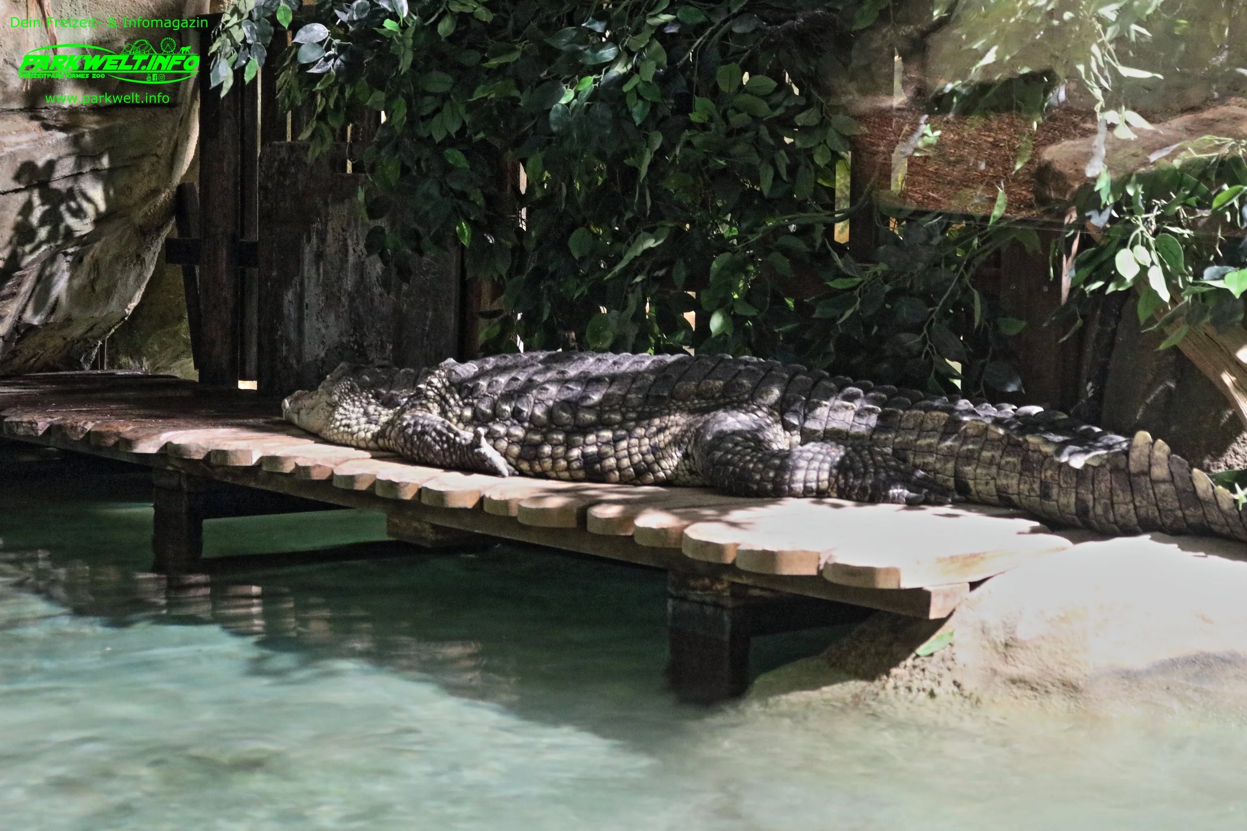 Vivarium Tropical Tropen haus Zoo Amneville Tierpark Frankreich Tiere Ausflug Park Plan Plan du Parc Öffnungszeiten Adresse Parkplatz Familie