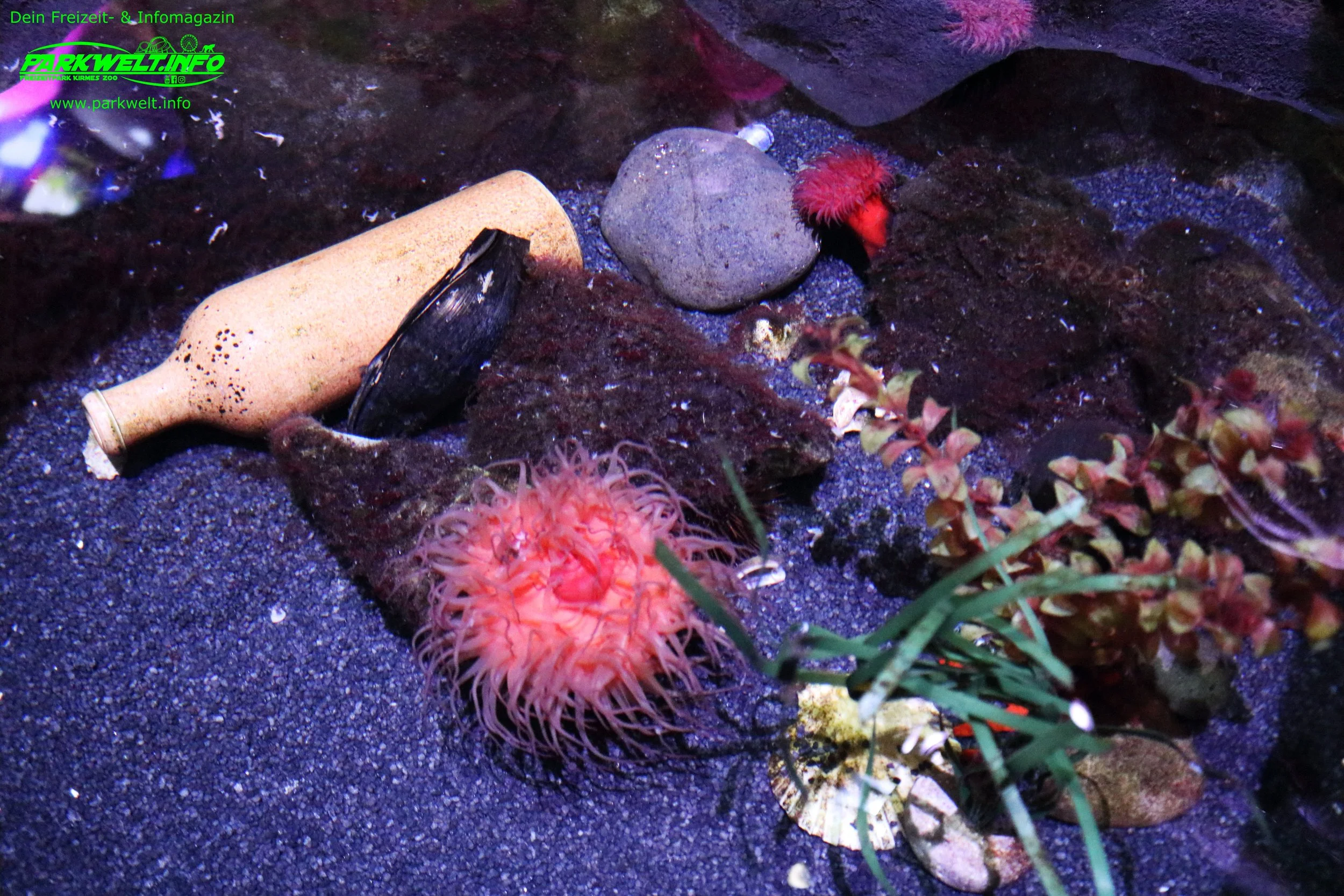 Sea Life Oberhausen Nordrhein Westfalen Aquarium Ausflugsziel Bilder Parkplan Park Plan map guide Adresse Anfahrt Info Preise Ticket Centro