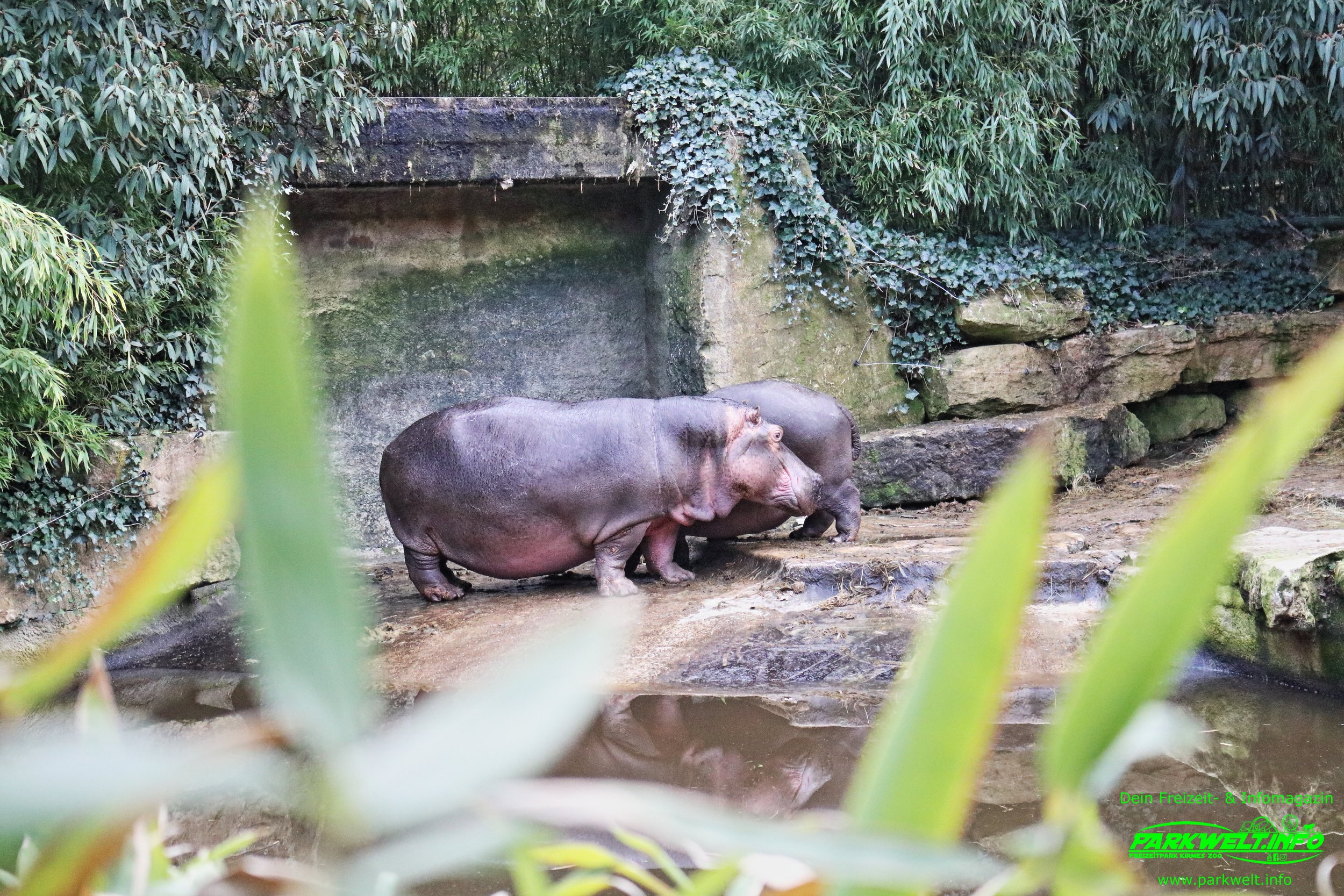 Zoo Amneville Tierpark Frankreich Tiere Ausflug Park Plan Plan du Parc Öffnungszeiten Adresse Parkplatz Familie