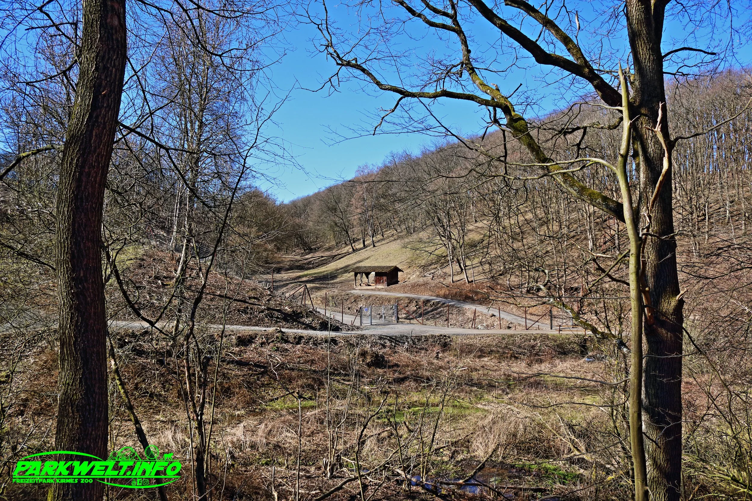 Wildpark Schmidt Tiere Zoo Infos News Park Plan Map Guide Adresse Parken Bilder Fotos Park Plan