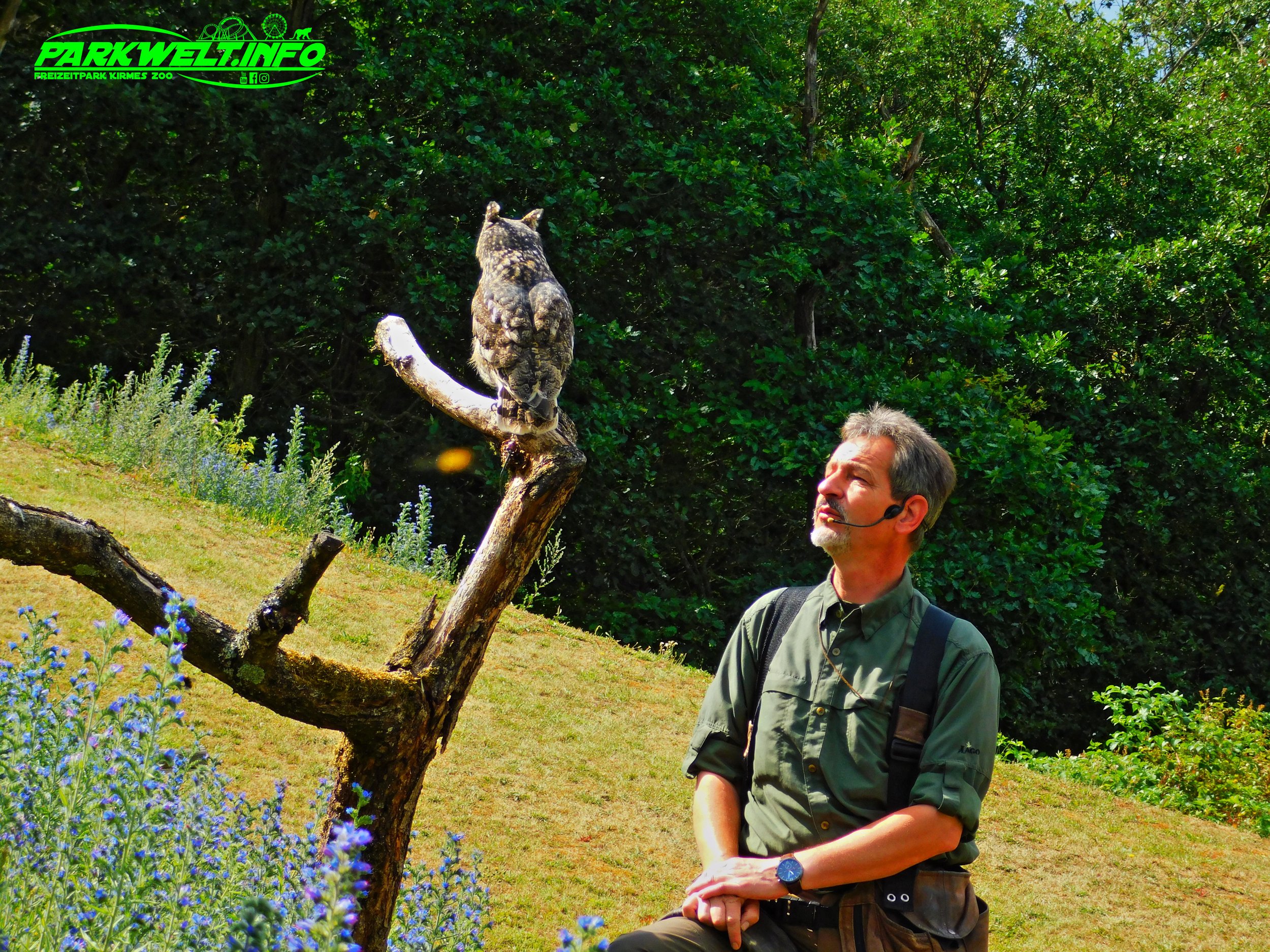 klotti Park klotten wildpark freizeitpark wild attraktionen tiere Shows