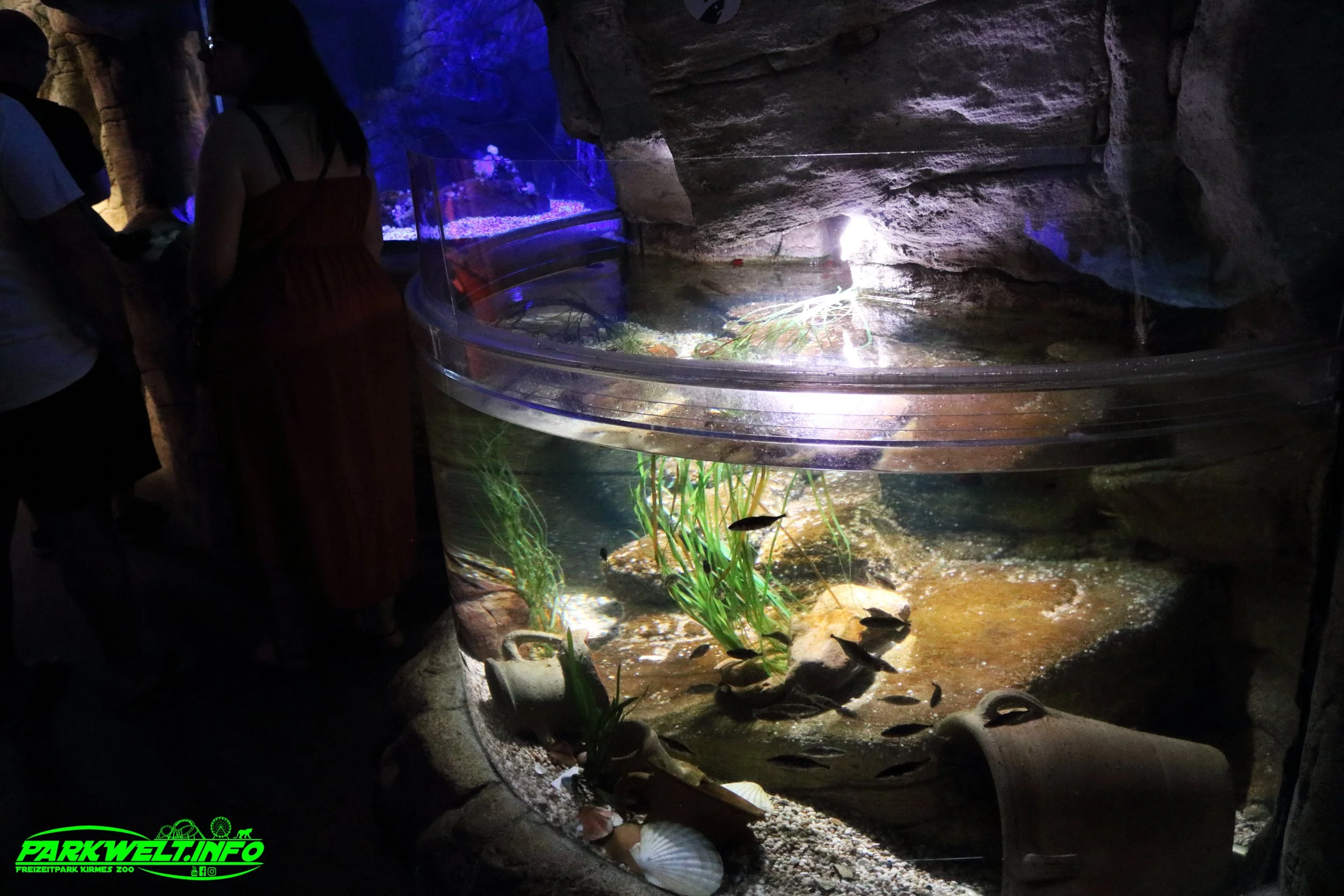 Sea Life Timmendorfer Strand Aquarium Infos Bilder Anfahrt Parkplatz Adresse Attraktionen Preise