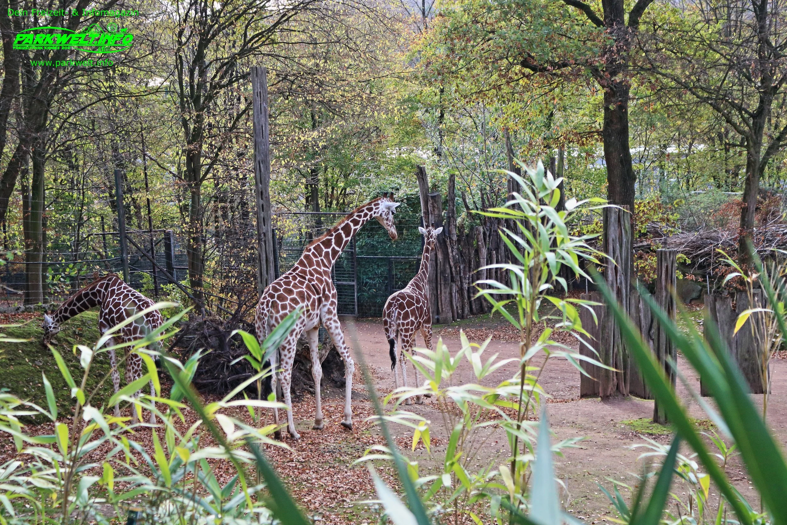Zoo Osnabrück Niedersachsen Wildpark Infos Tiere Parkplan Park Plan Adresse Anfahrt Parkplatz Preise Aquarium