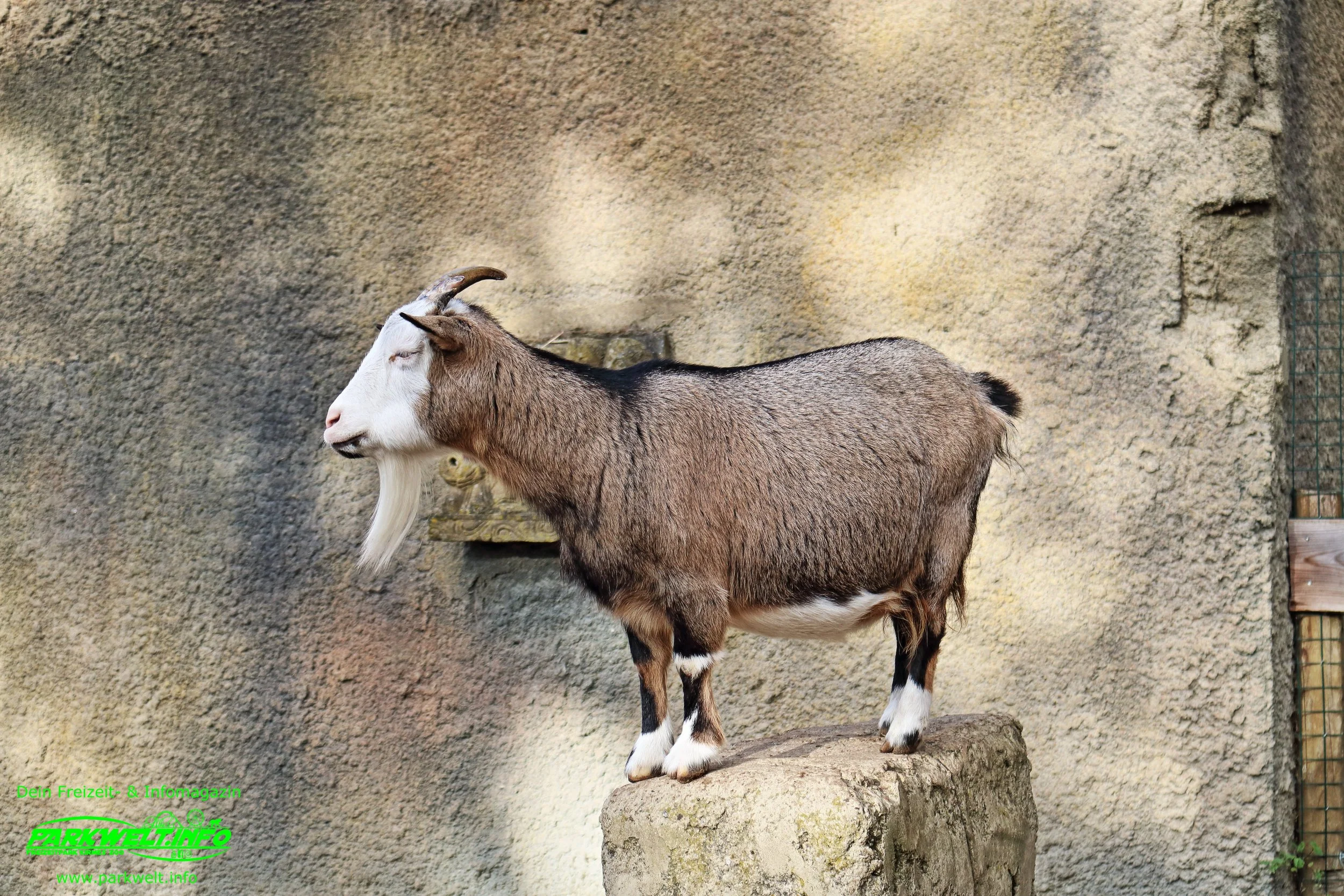 Zoo Osnabrück Niedersachsen Wildpark Infos Tiere Parkplan Park Plan Adresse Anfahrt Parkplatz Preise Aquarium