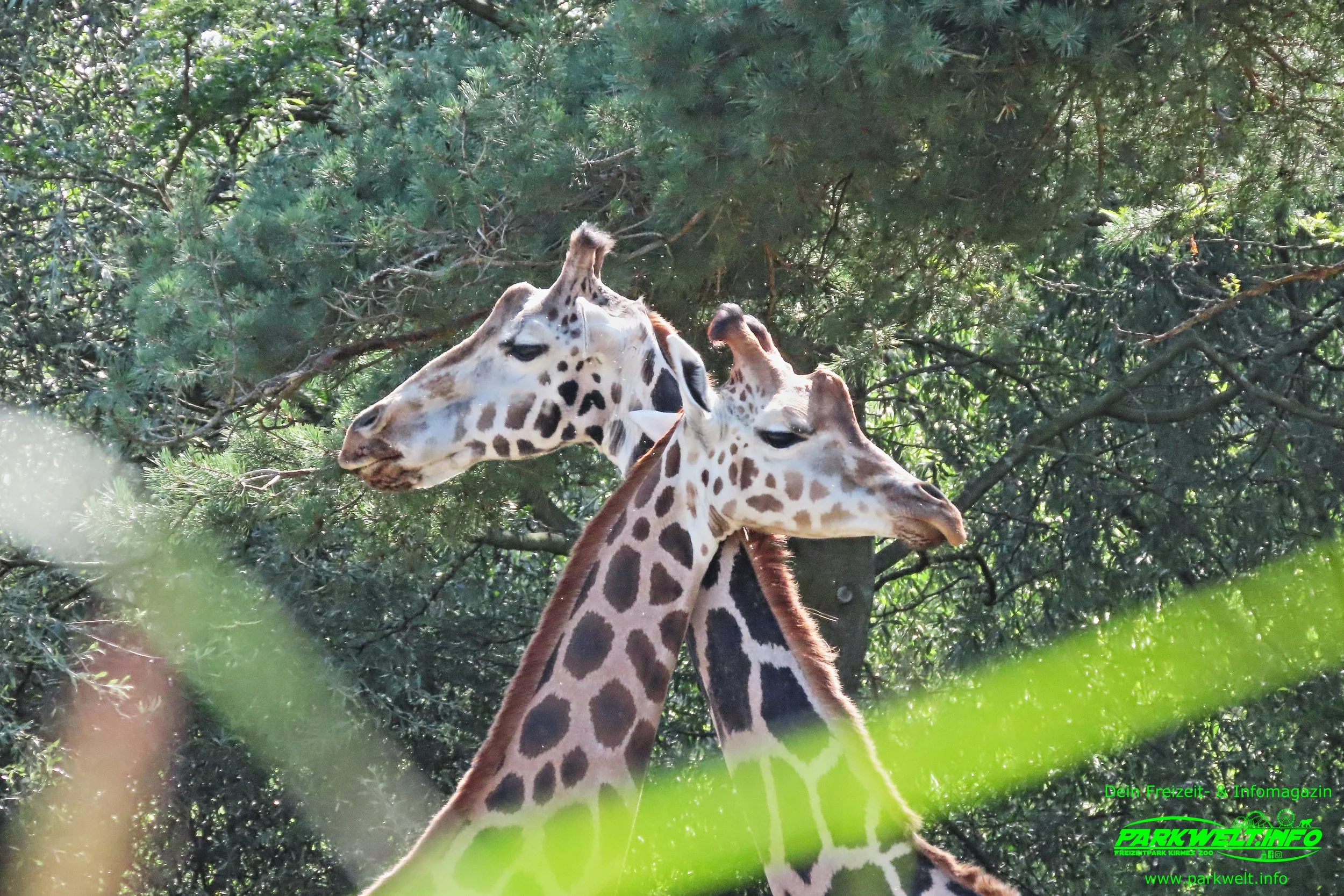Zoo Leipzig Sachsen Tiere Ausflugsziel Park Plan Infos News Bilder Anfahrt Adresse Preise Parkplatz Attraktionen