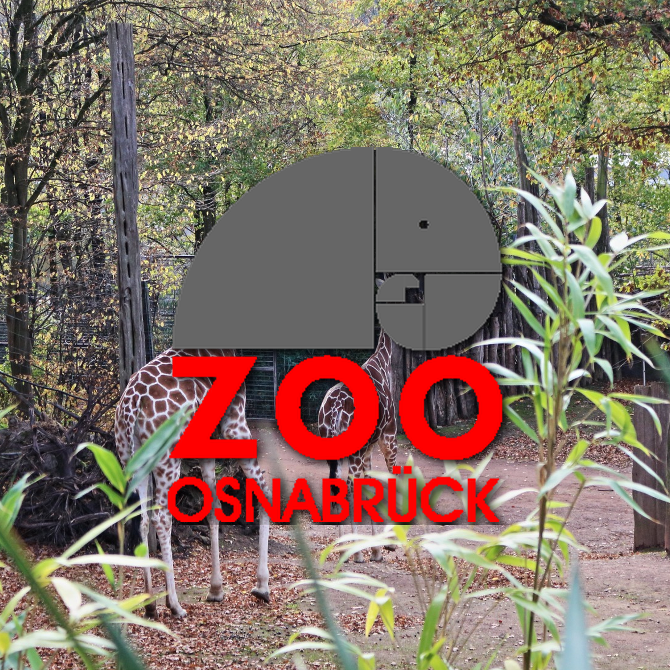 Zoo Osnabrück Niedersachsen Wildpark Infos Tiere Parkplan Park Plan Adresse Anfahrt Parkplatz Preise Aquarium 