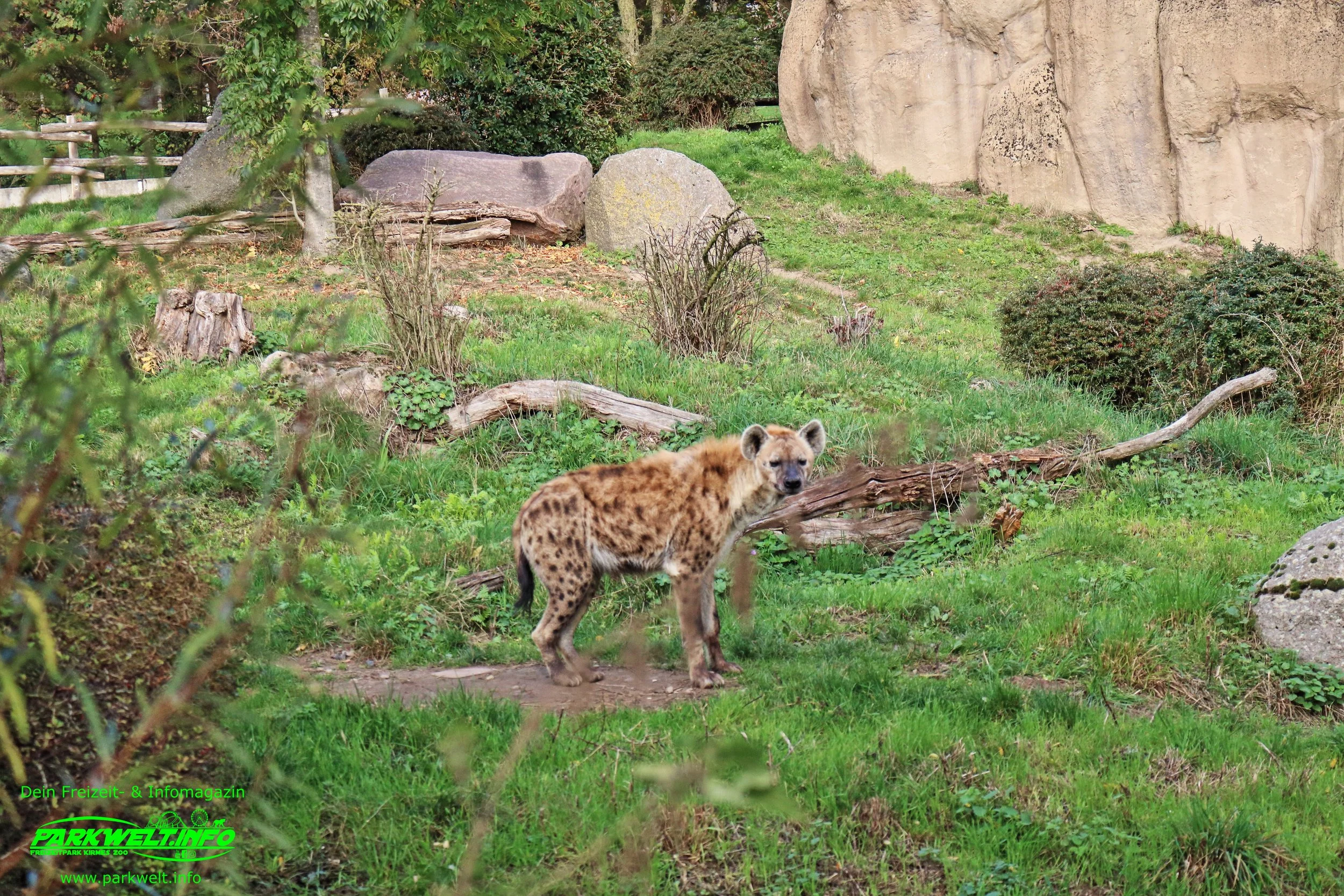 Zoo Osnabrück Niedersachsen Wildpark Infos Tiere Parkplan Park Plan Adresse Anfahrt Parkplatz Preise Aquarium