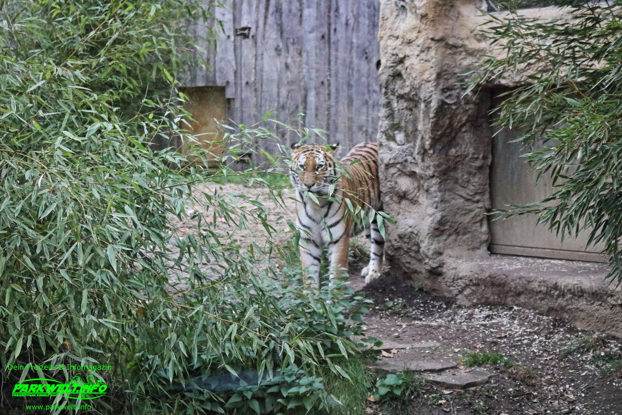 Zoom Erlebniswelt Gelsenkirchen Zoo Tierpark Nordrhein Westfalen Info Alaska Asien Afrika Adresse Familie  Bilder Park Plan Map Guide 