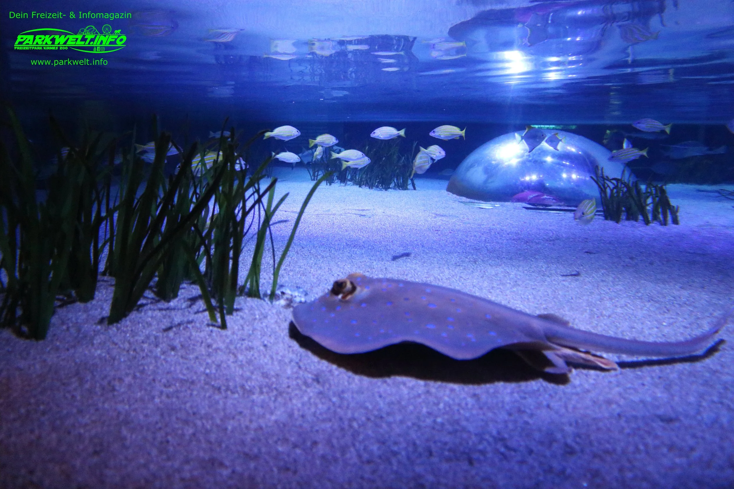 Sea Life Oberhausen Nordrhein Westfalen Aquarium Ausflugsziel Bilder Parkplan Park Plan map guide Adresse Anfahrt Info Preise Ticket Centro