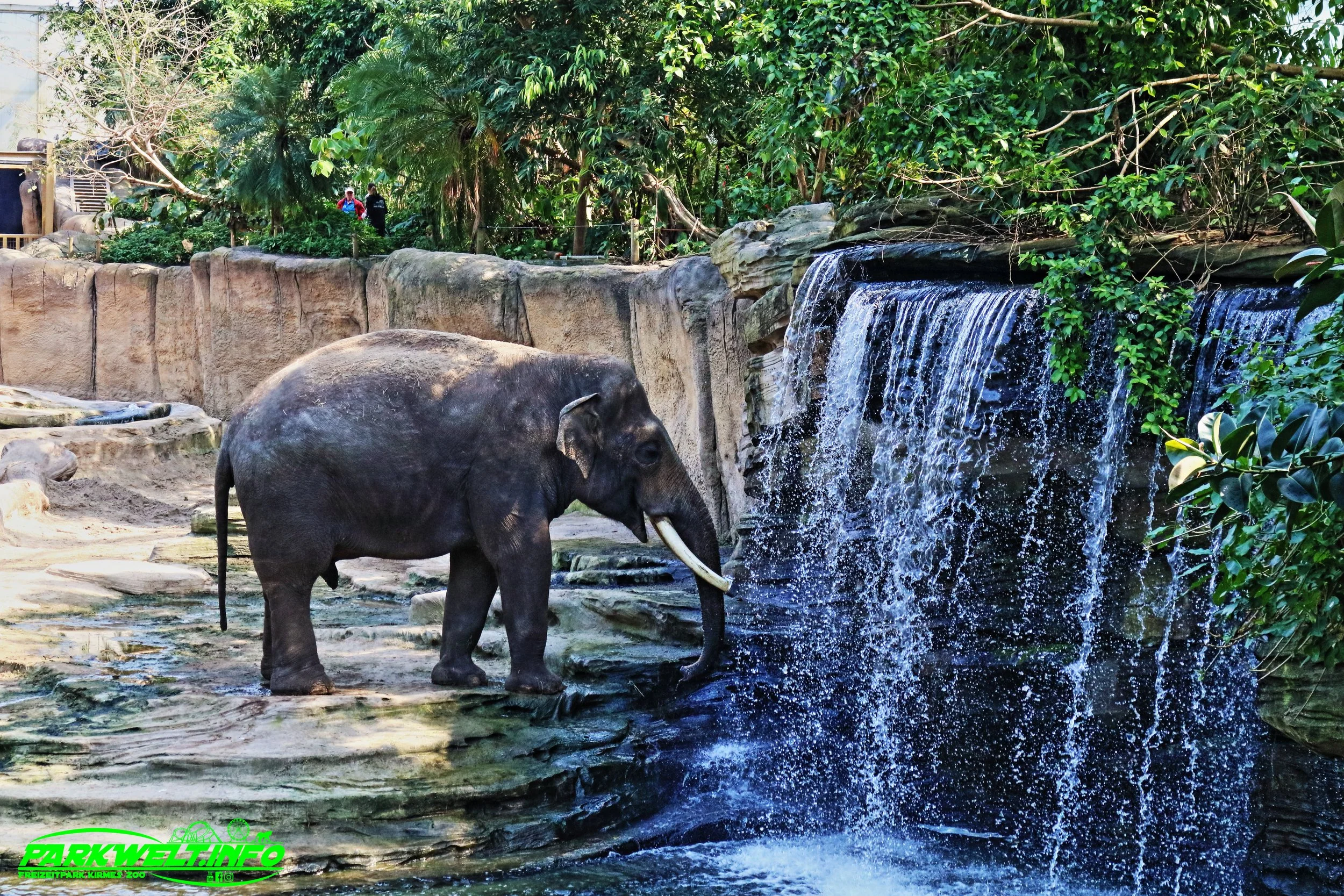 Wild Lands Wildlands Adventure Zoo Emmen Niederlande Netherlands Holland Park Plan Achterbahn Rollercoaster Safari Wildpark Ausflugsziel Attractiepark Themepark Freizeitpark Attraktionen Bilder Anfahrt Tweestryd Rimbula River Bootsfahrt