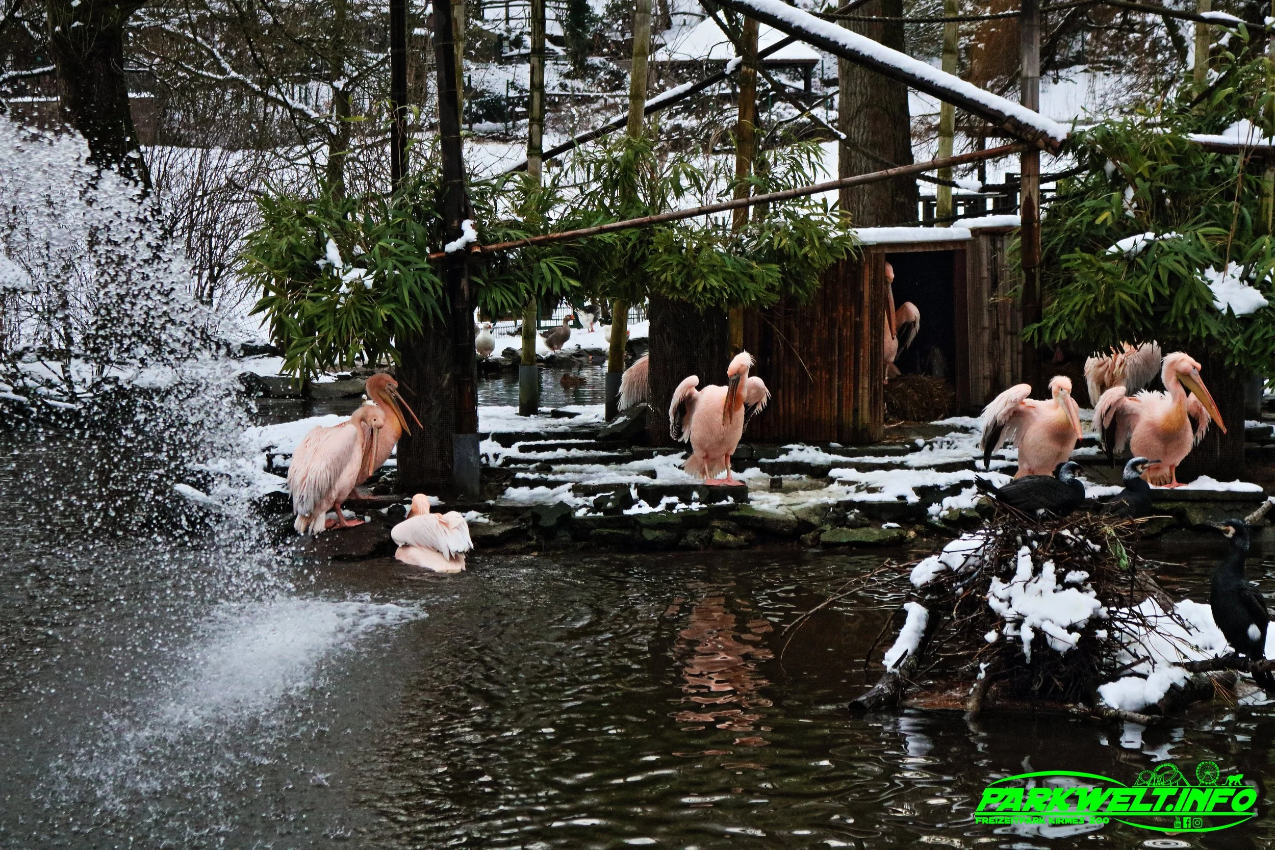 Opel Zoo Tierpark Tiere Hessen Ausflug Ausflugsziel Familie Wildpark Anfahrt Adresse Map Guide Parkplan Park Plan Info Infos Spielplatz