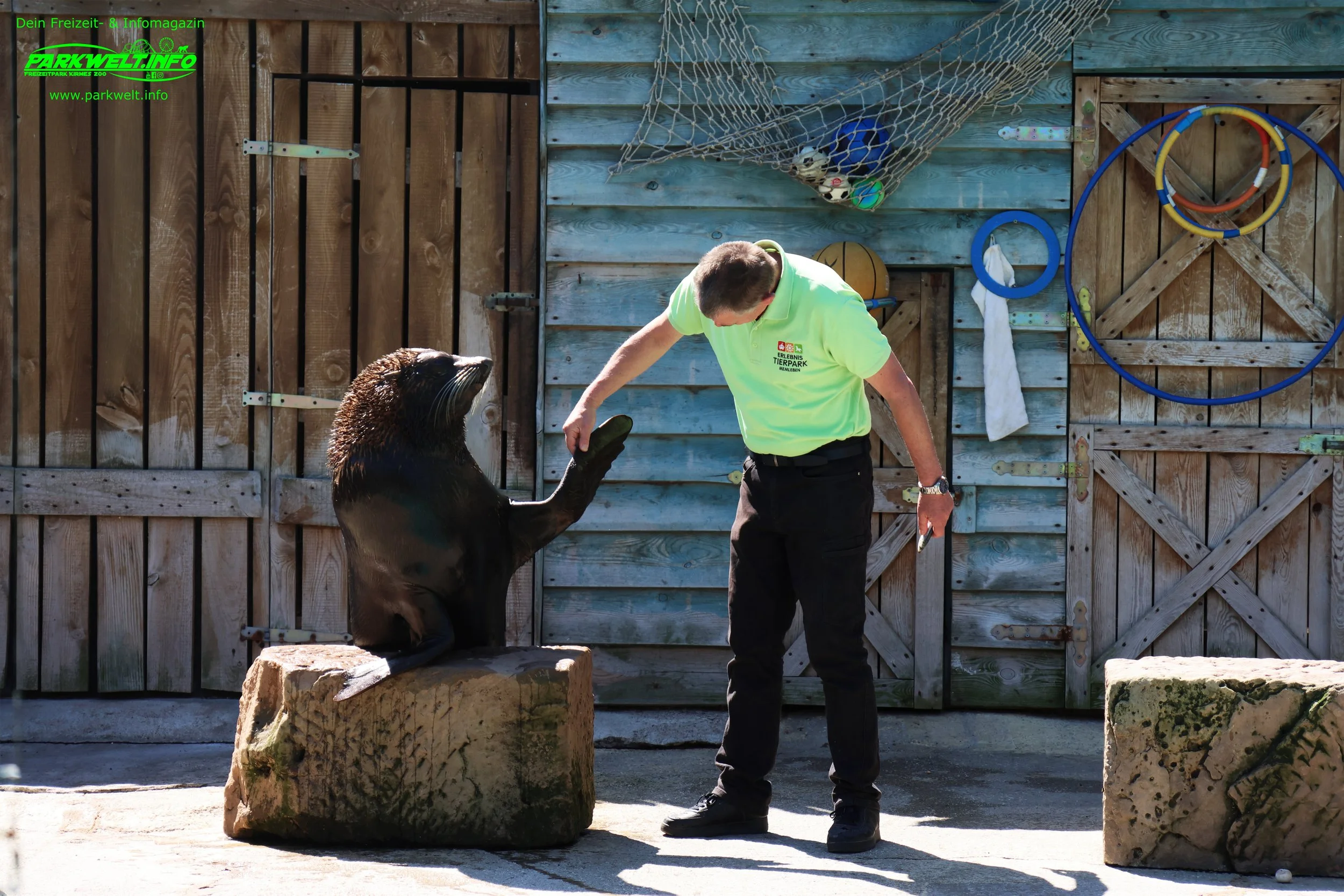 Ehemalige Seelöwen-Show im Erlebnispark Memleben – Erinnerungen an die Tiershow