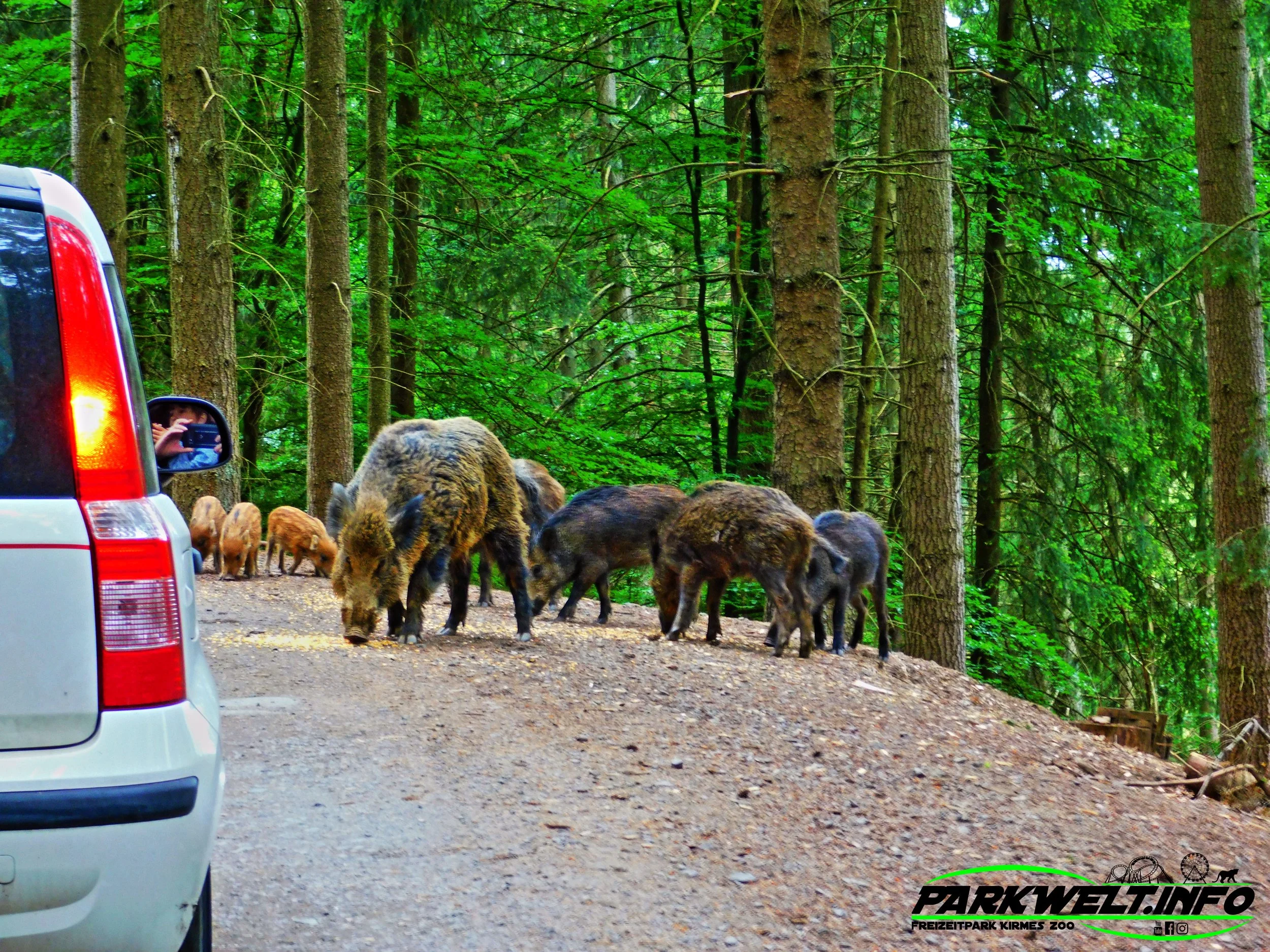 Der Dauner Wild & Erlebnispark hat uns einen ganz besonderen Einblick hinter die Kulissen gewährt, wir durften Bernd Koch den Hufschmied auf seiner Tour begleiten.