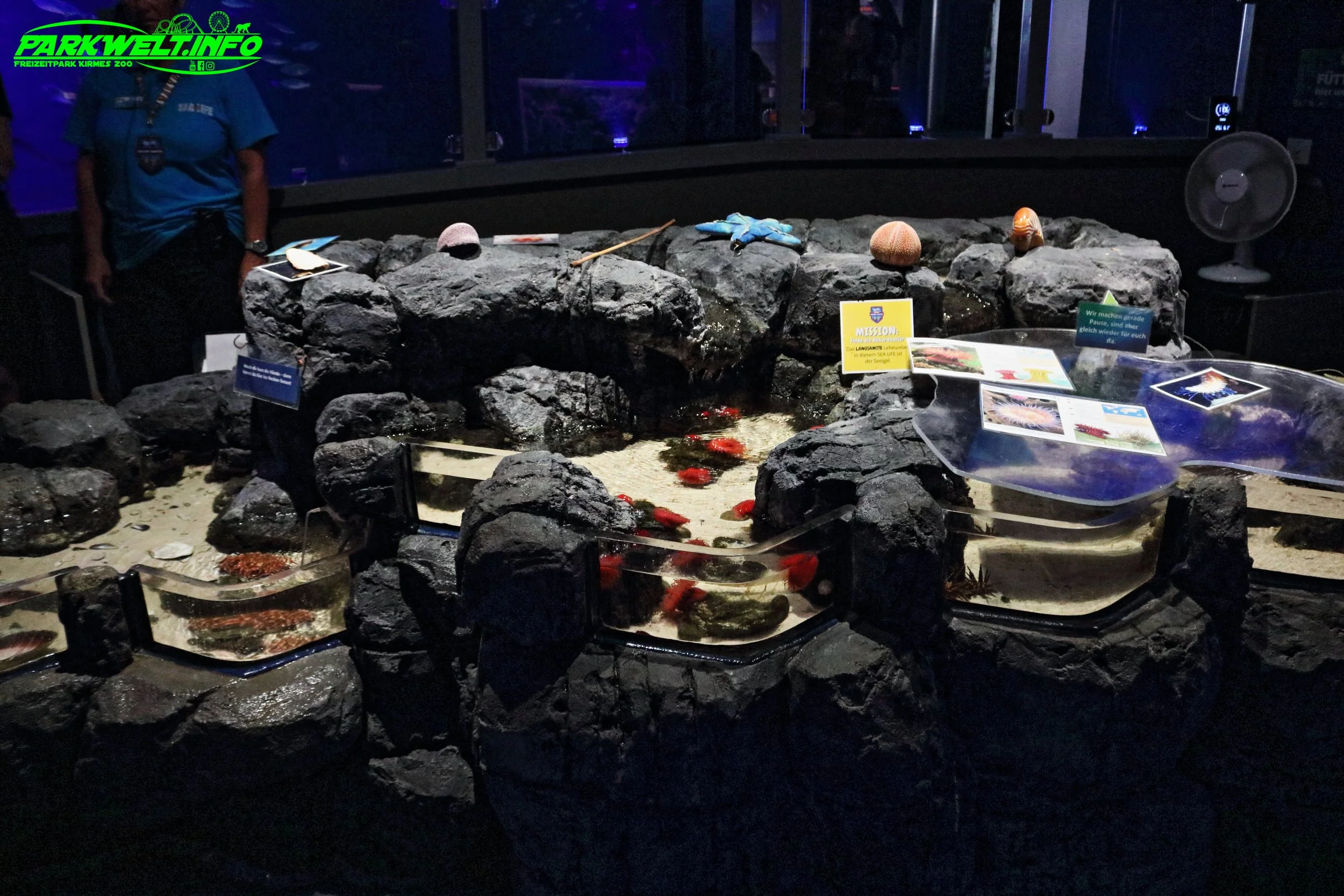 Sea Life Timmendorfer Strand Aquarium Infos Bilder Anfahrt Parkplatz Adresse Attraktionen Preise